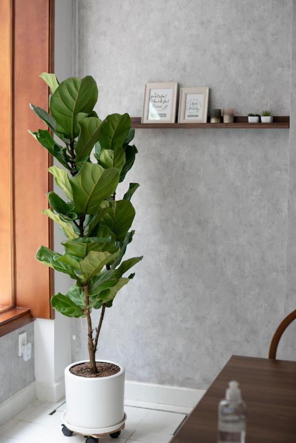 Pandora House Apartment Ho Chi Minh City