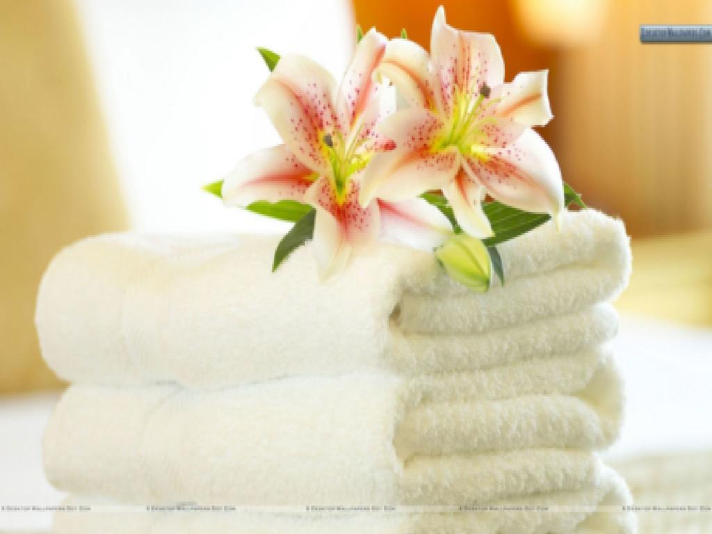 Hotel Vilion &