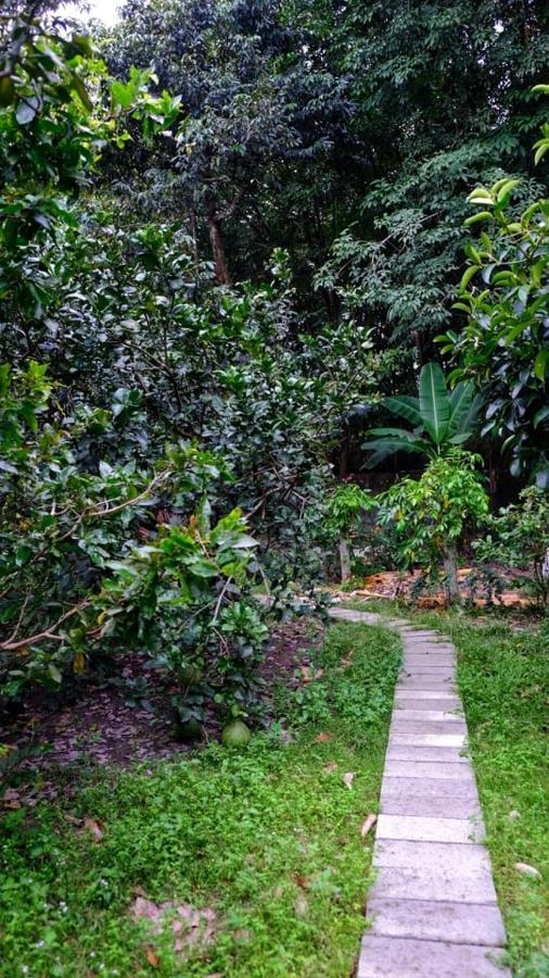 Vuon Nha Ngoai Garden