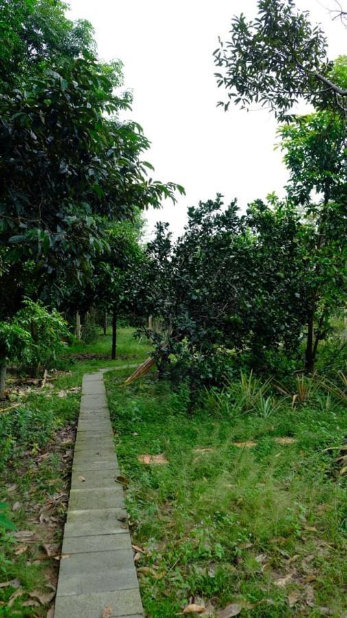 Vuon Nha Ngoai Garden