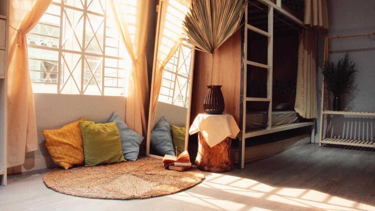 Ở trọ Coucou Homestead - I