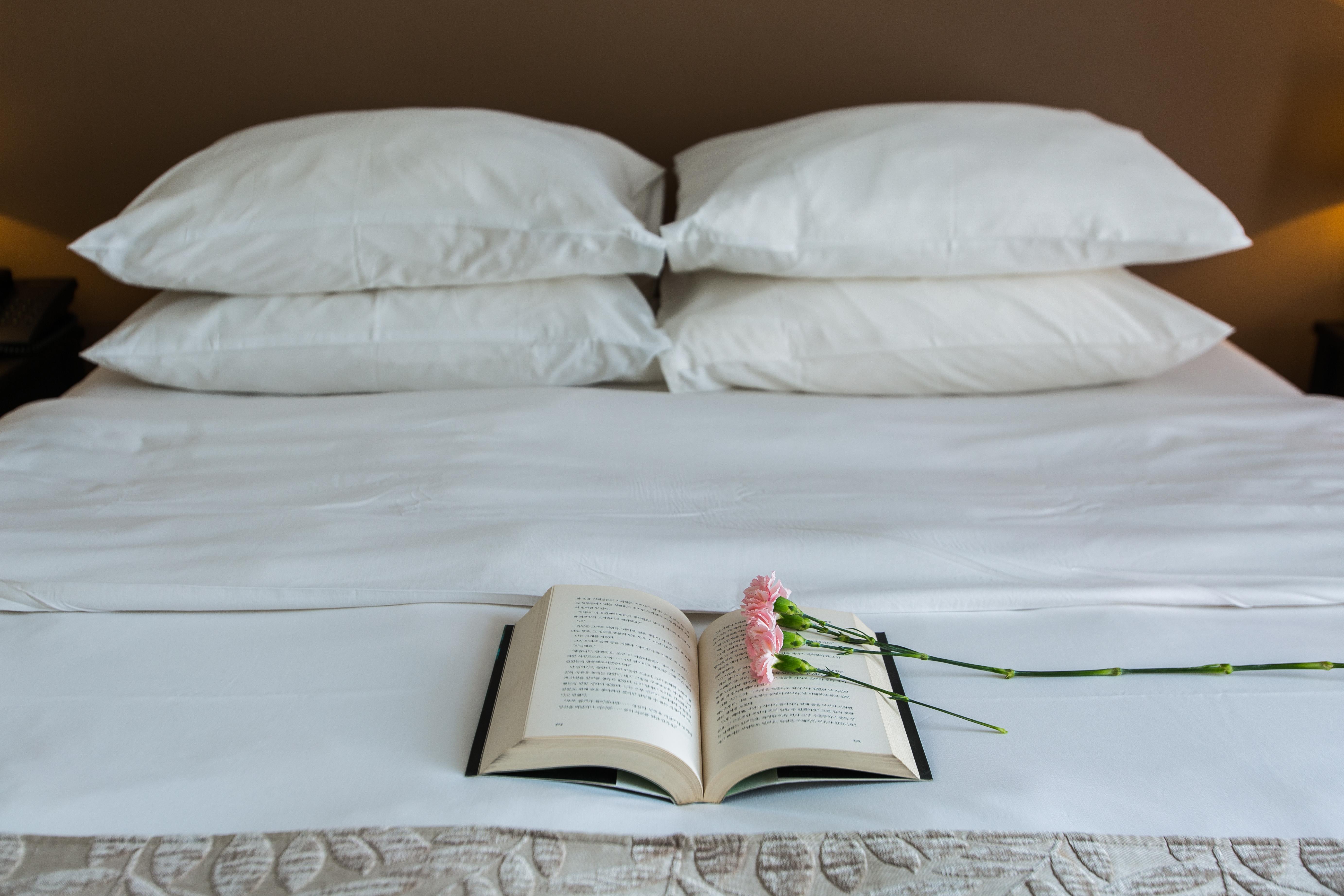 The Alcove Library 3*