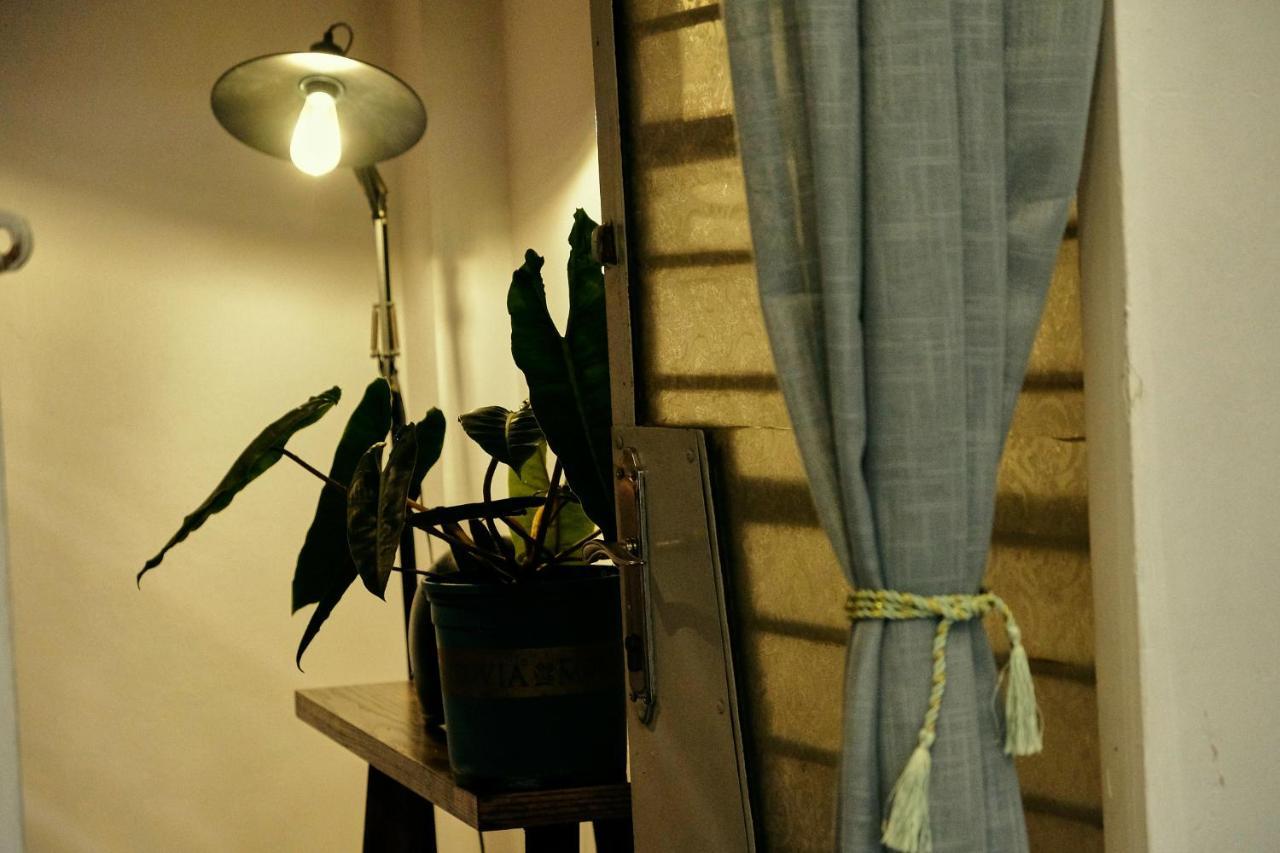 Peaceful Saigon - Entire House 1br In District 1 - Pet-friendly Pangsapuri