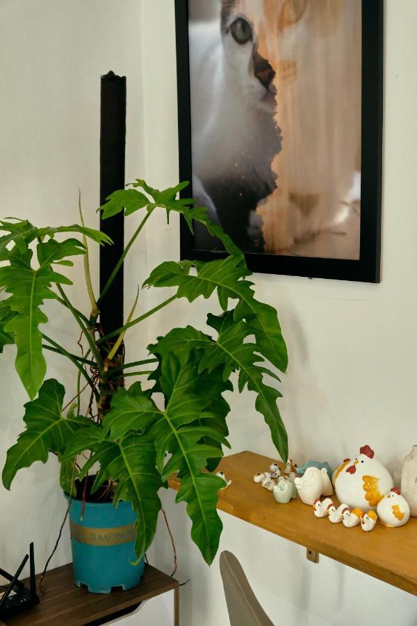Peaceful Saigon - Entire House 1br In District 1 - Pet-friendly Pangsapuri *