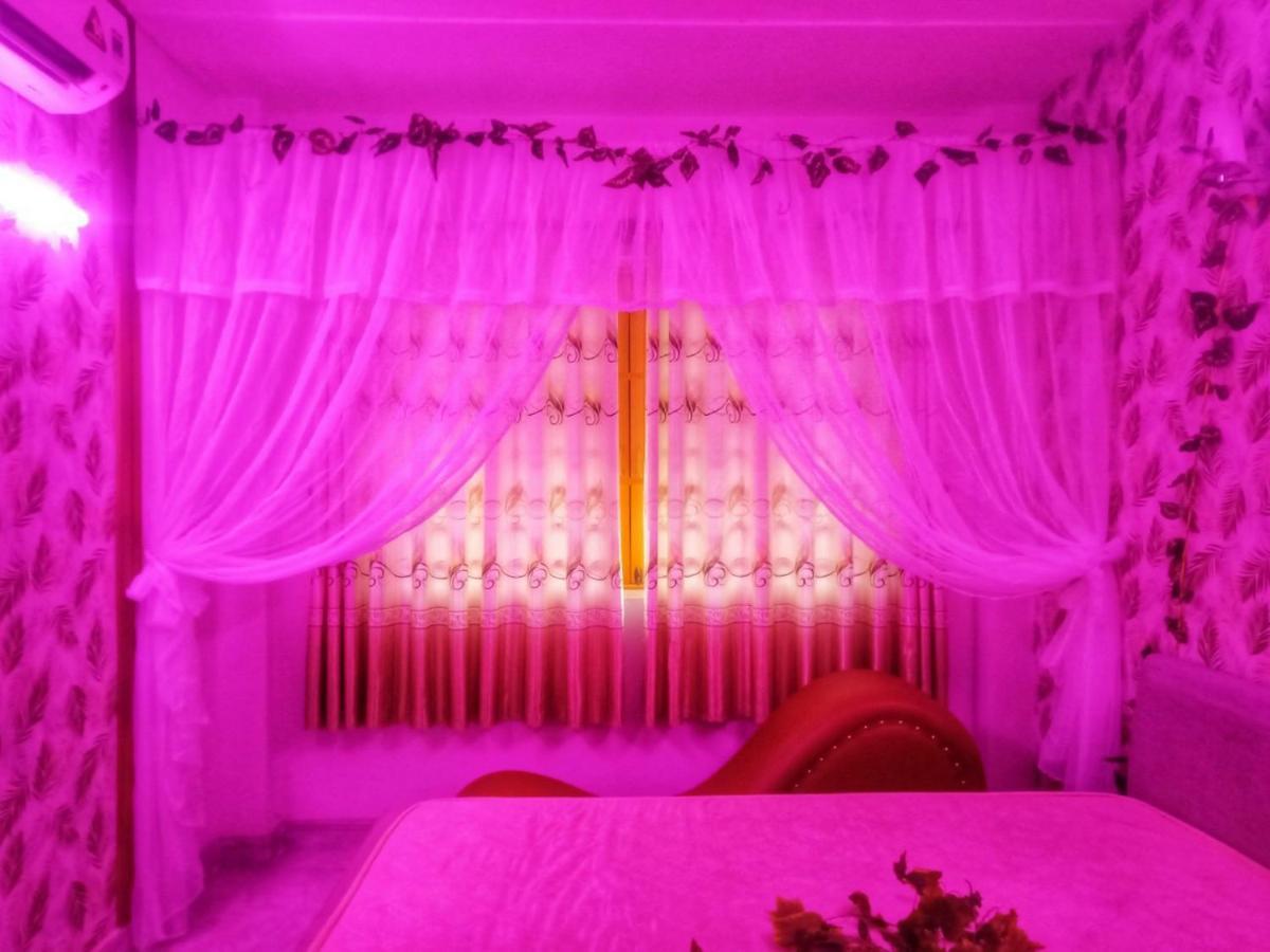 Apartment Sinh House
