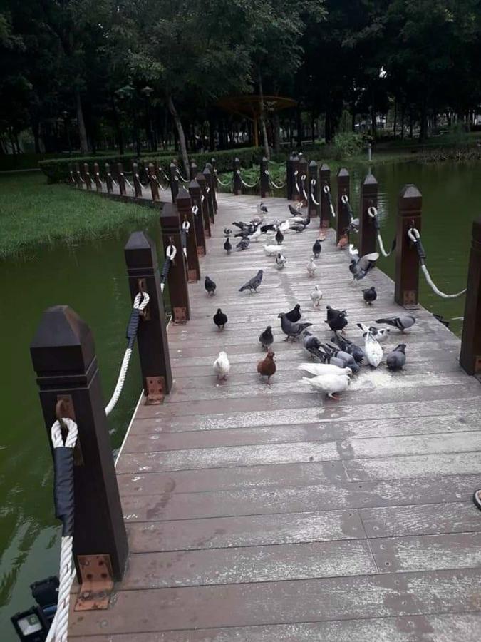 Ho Vip Sieu Rong, Sieu Sang, Gia Tot Chung Cu Celadon, Ngay Aeon Tan Phu Apartment