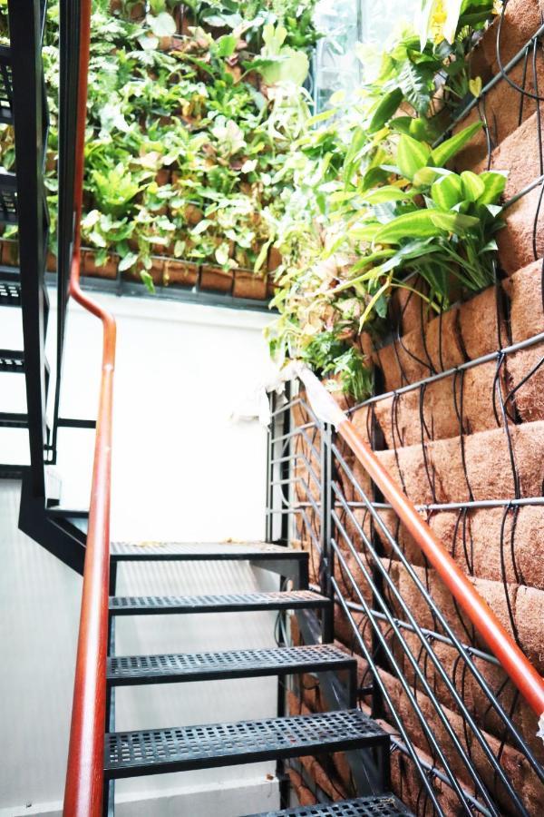 Hostel Amango