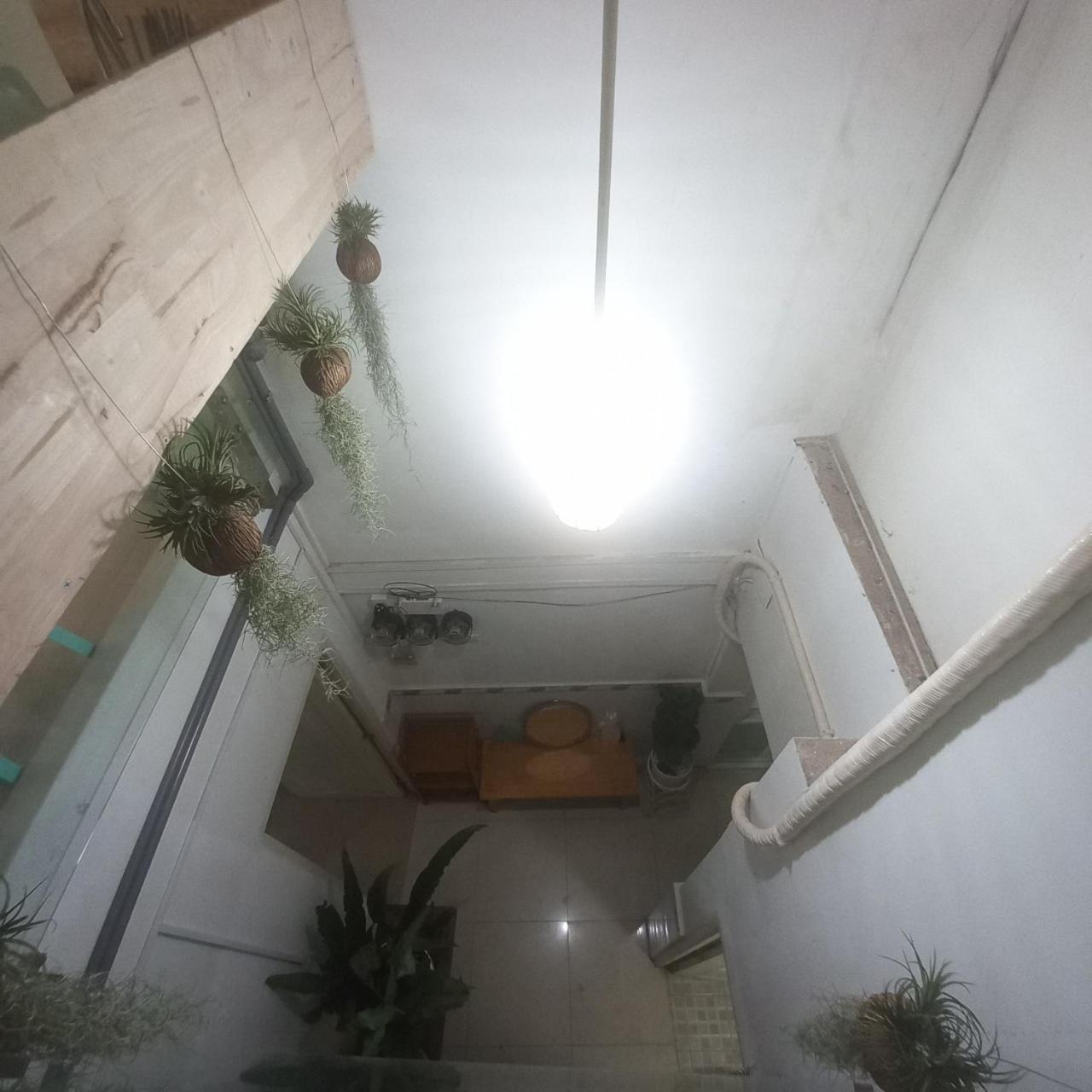 Garden House