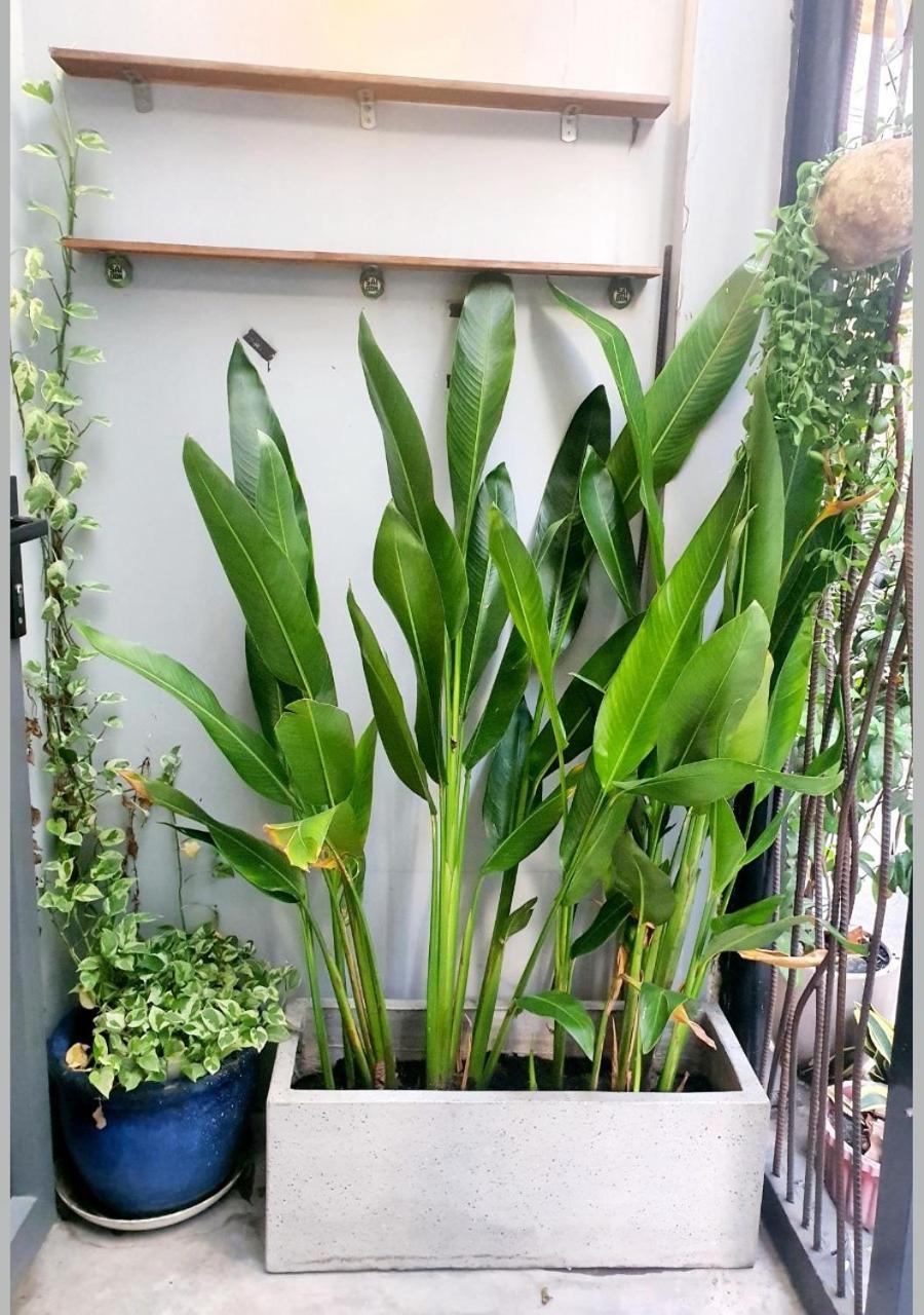 Homestay Zvillage Ncc - Modern Townhouse In District 1 Ho Chi Minh City
