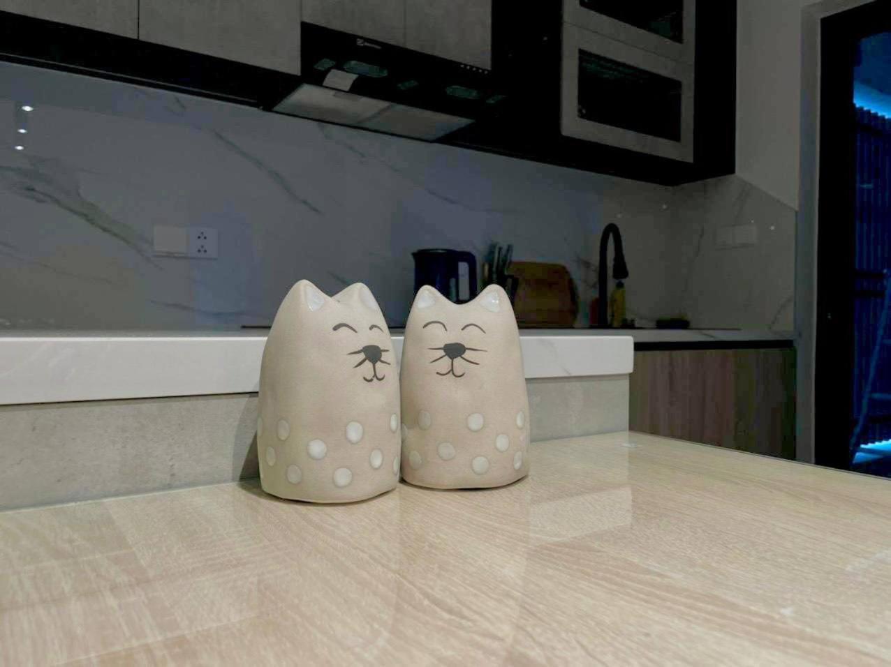 Apartment Ho 2pn2wc Full Noi That Sieu Dep Khu Diamond Alnata Celadon Tan Phu *