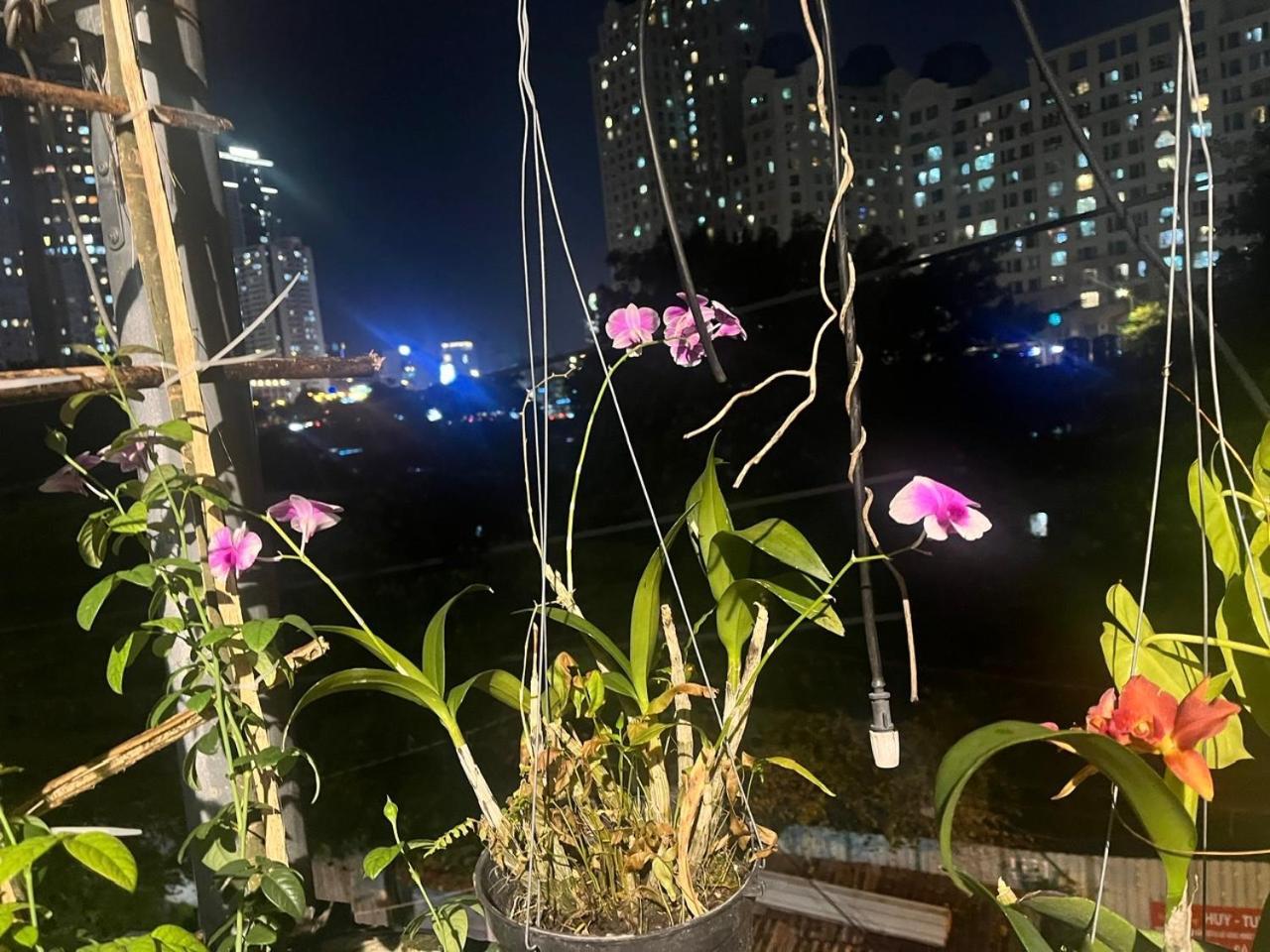House Binhthanh Ho Chi Minh City