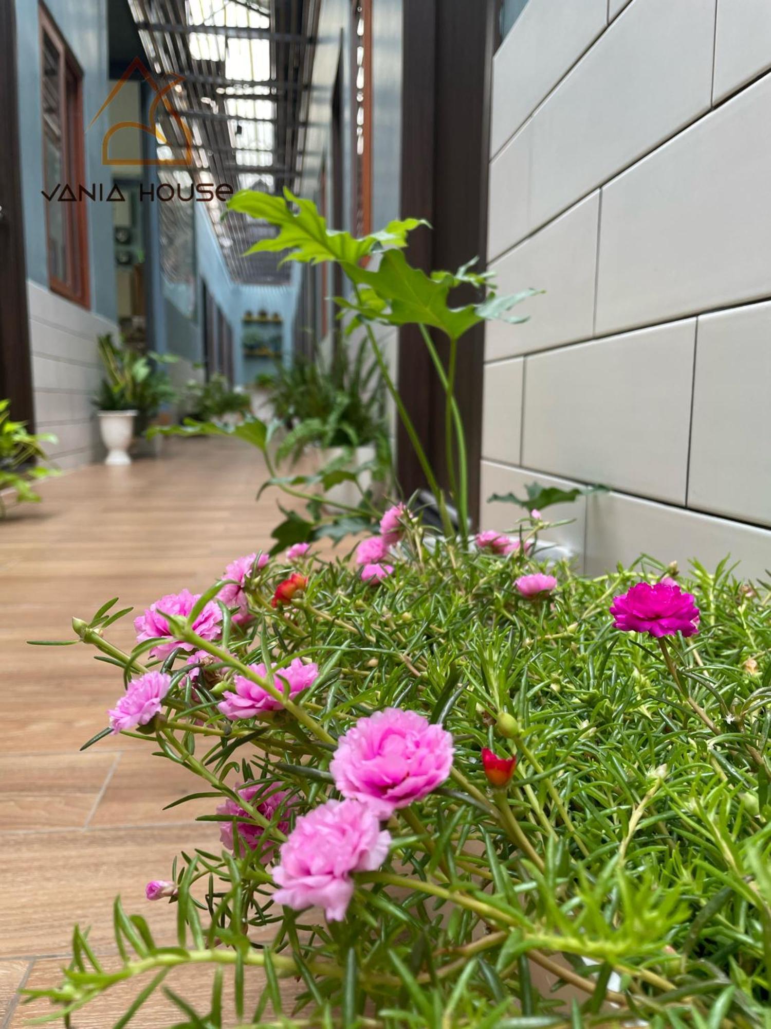 Vania House - Cozy Near The Airport * Ho Chi Minh City