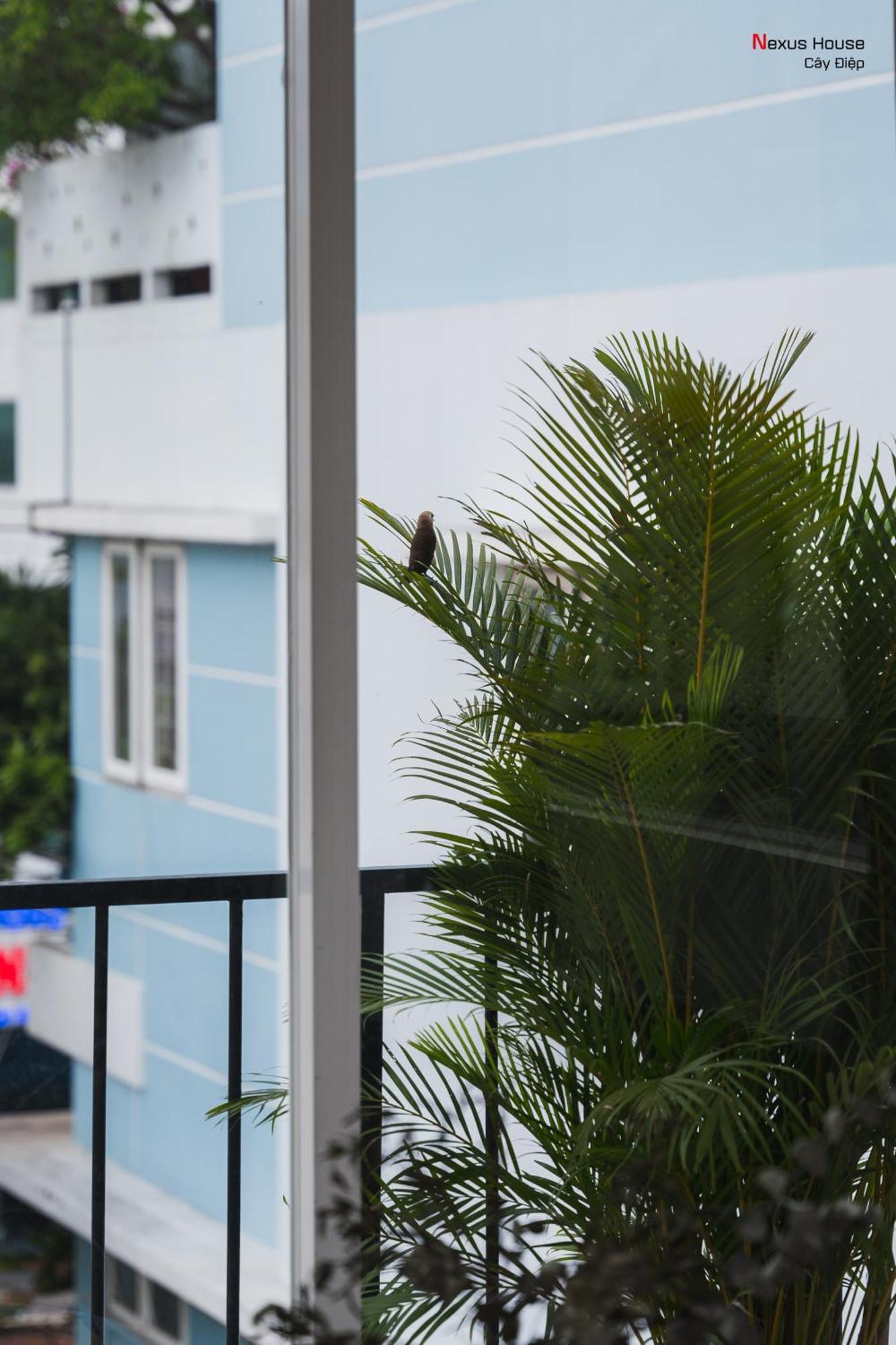 Nexus House Cay Diep Apartment *