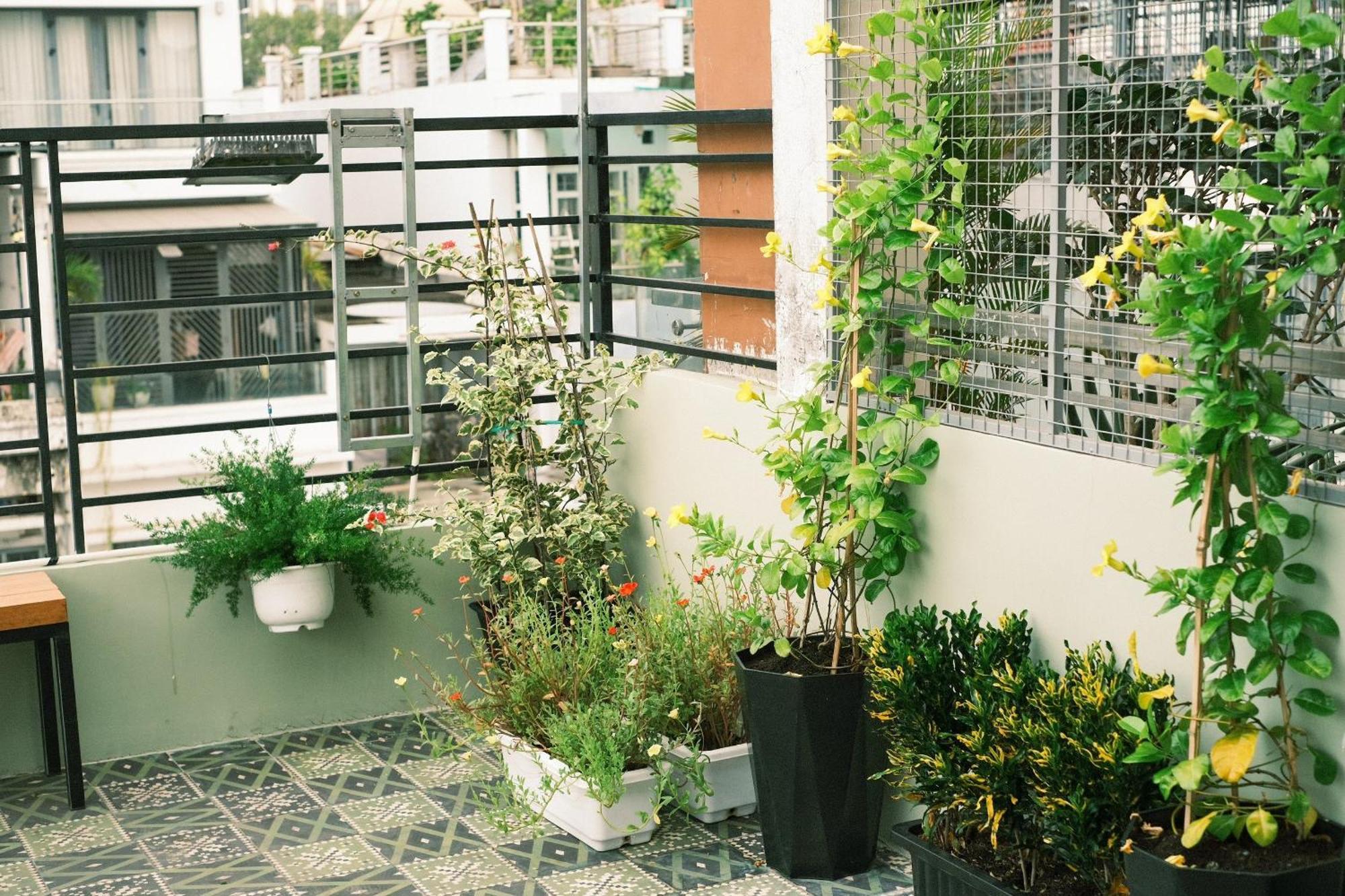 Larita Saigon TP. Hồ Chí Minh