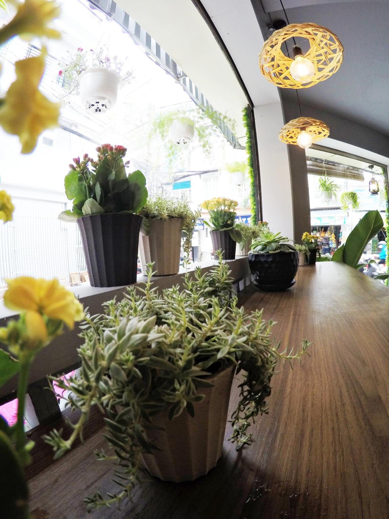 Guest house Happy Coffee