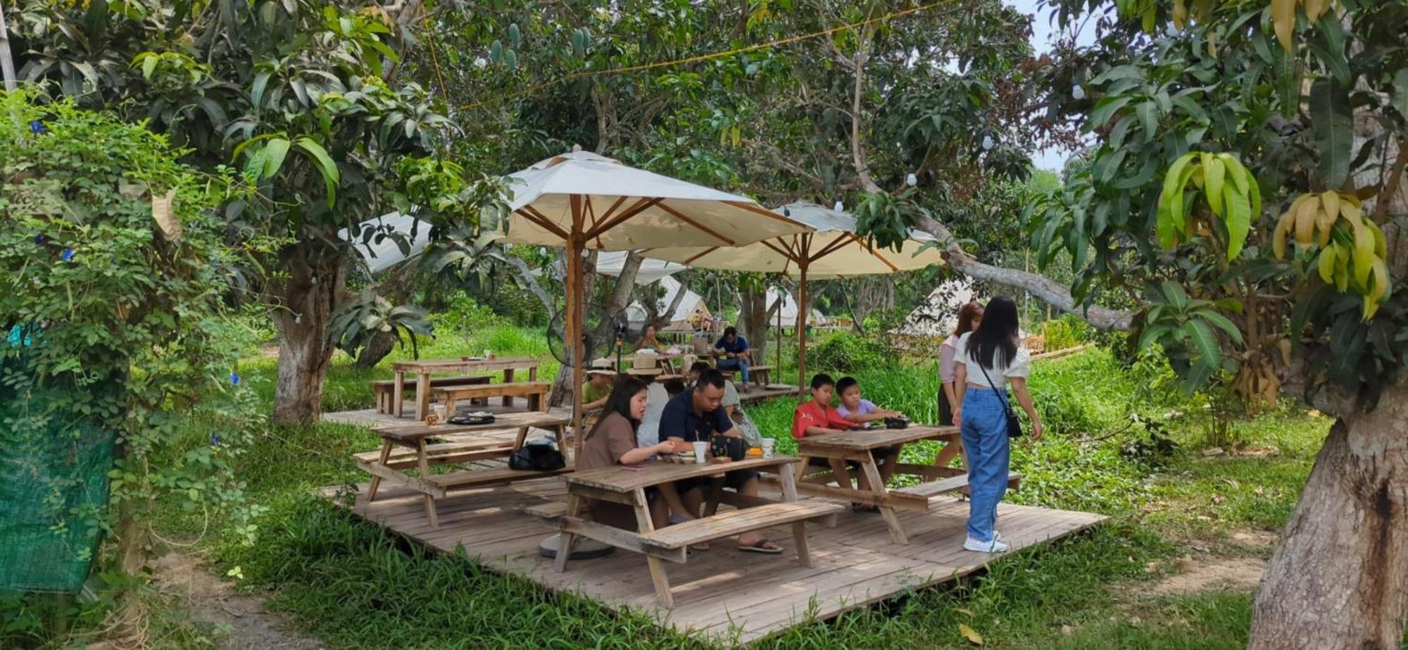 Khemah mewah Binifarm Tropical Retreat