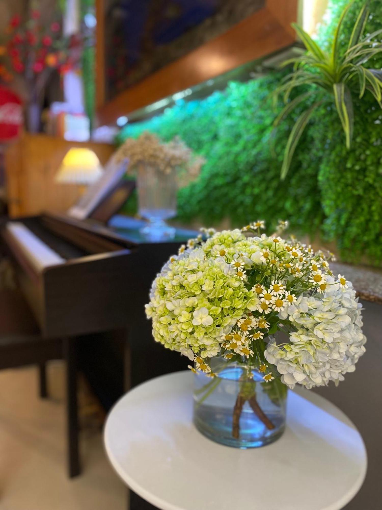 Hotel Violet Star And