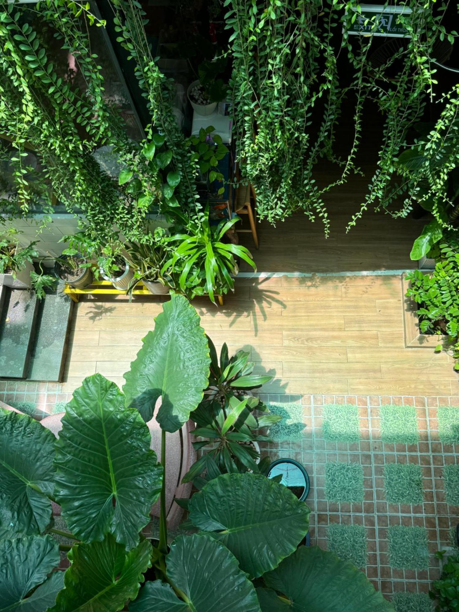Vania House * Ho Chi Minh City