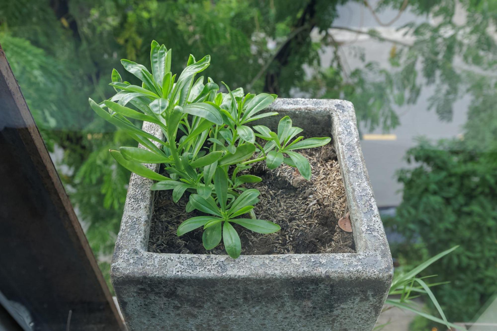 Vietlife & - Free Cinema Apartment Ho Chi Minh City