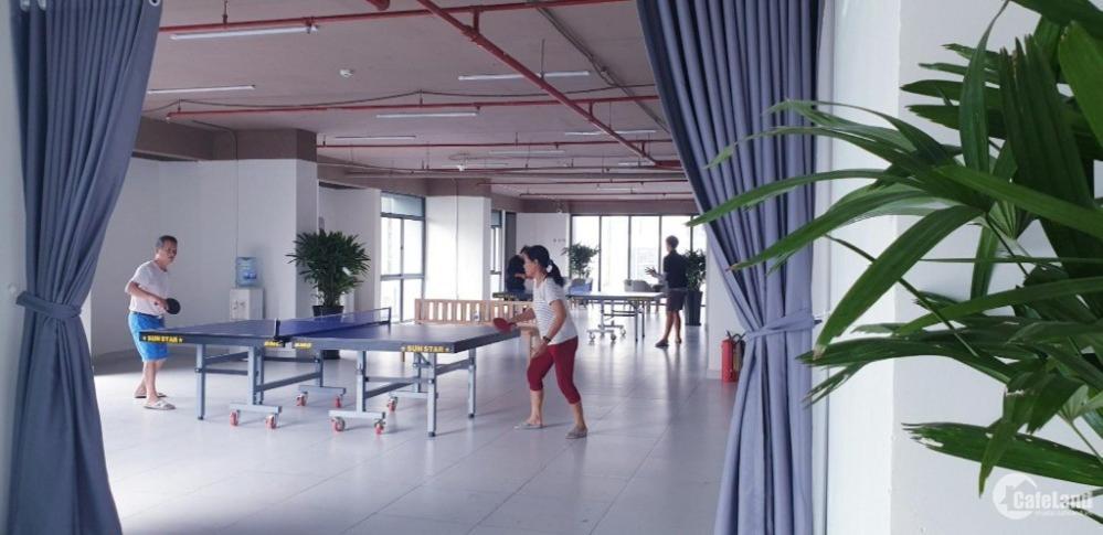 Apartment Loft 1 Bedroom With With Unique And Splendid Design, La Astoria 3, Appartment, Dist 2