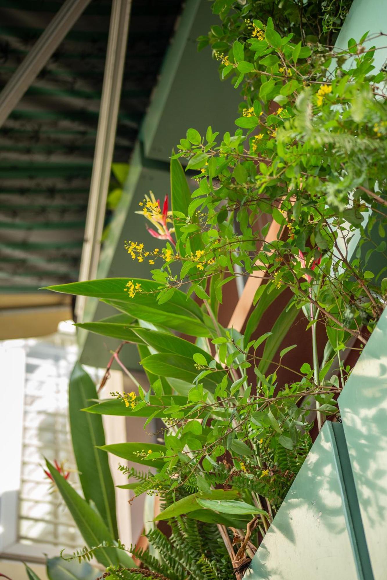 Apartment Orange - Ngoi Nha Tai Quan 3