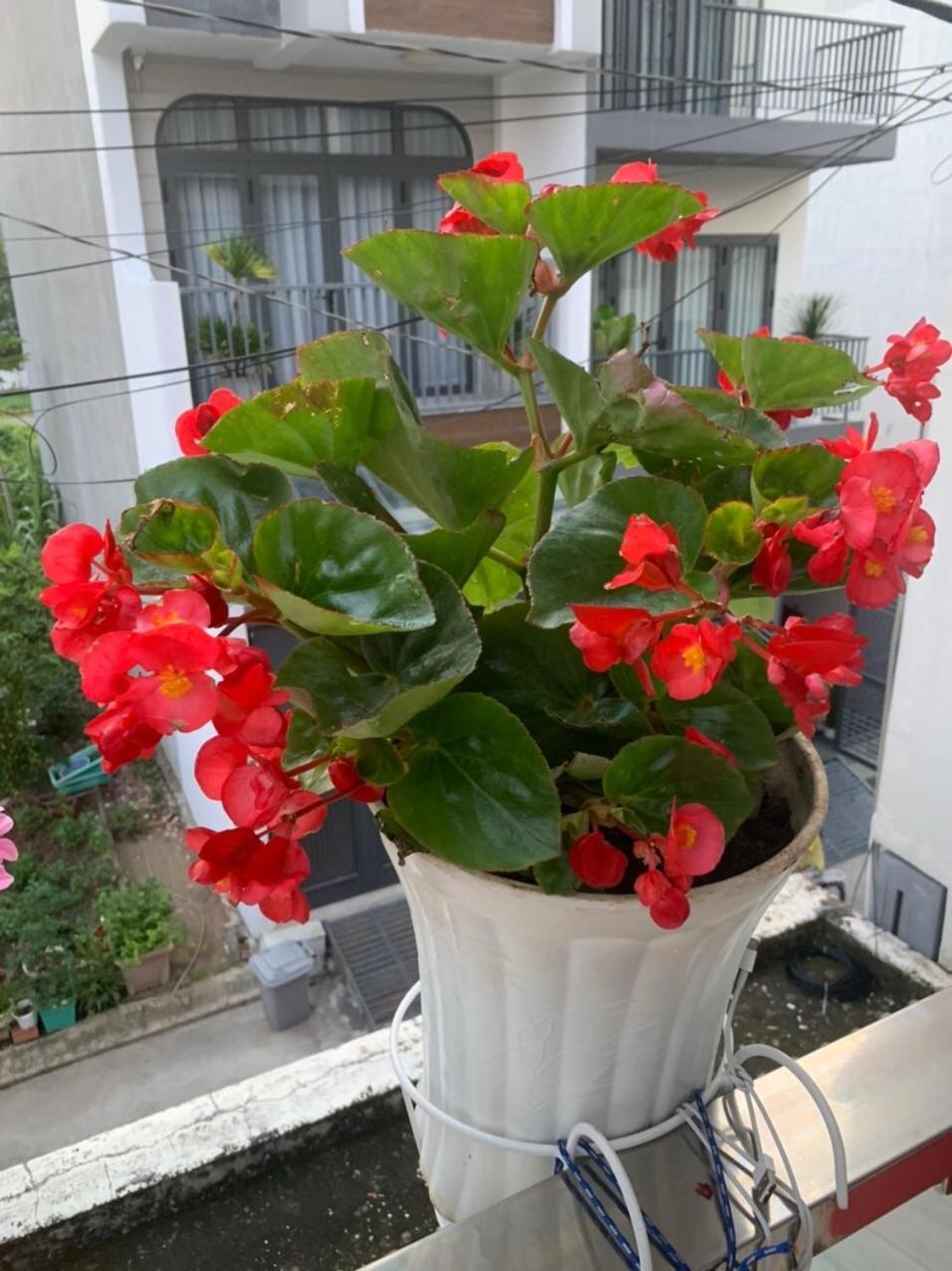 Thu Duc - Noi Nghi Ngoi Nhu O Nha, Am Ap Tinh Than Homestay *