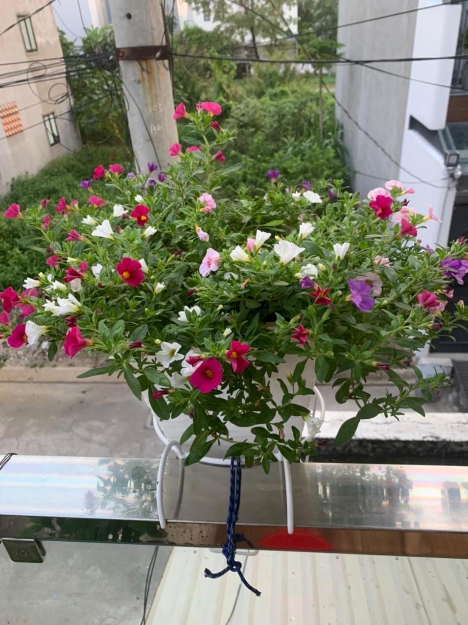 Thu Duc - Noi Nghi Ngoi Nhu O Nha, Am Ap Tinh Than Homestay Ho Chi Minh City