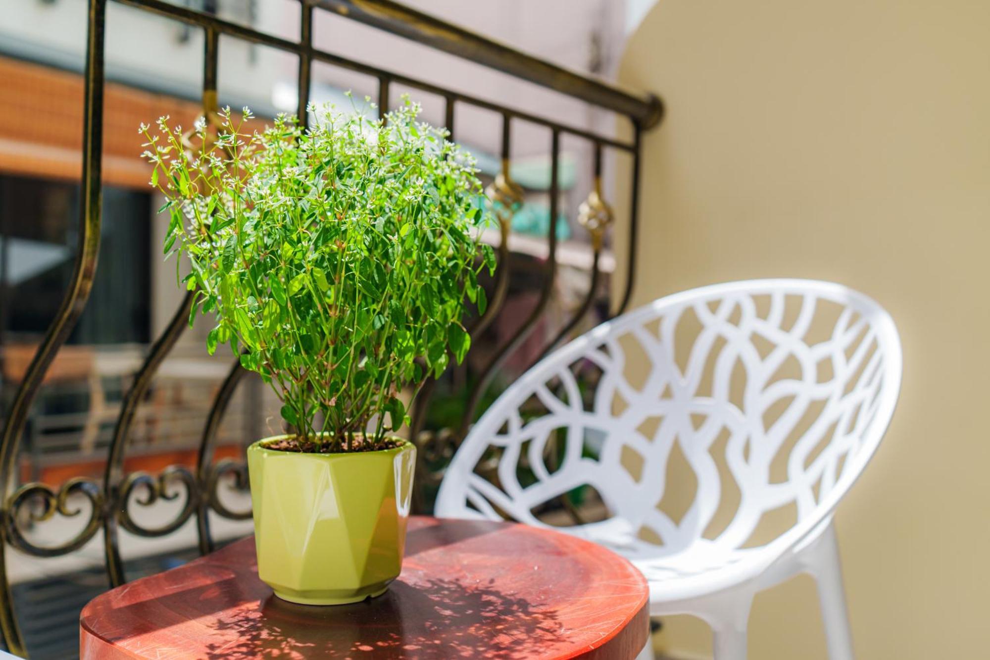 Co Chau Homestay Ho Chi Minh City