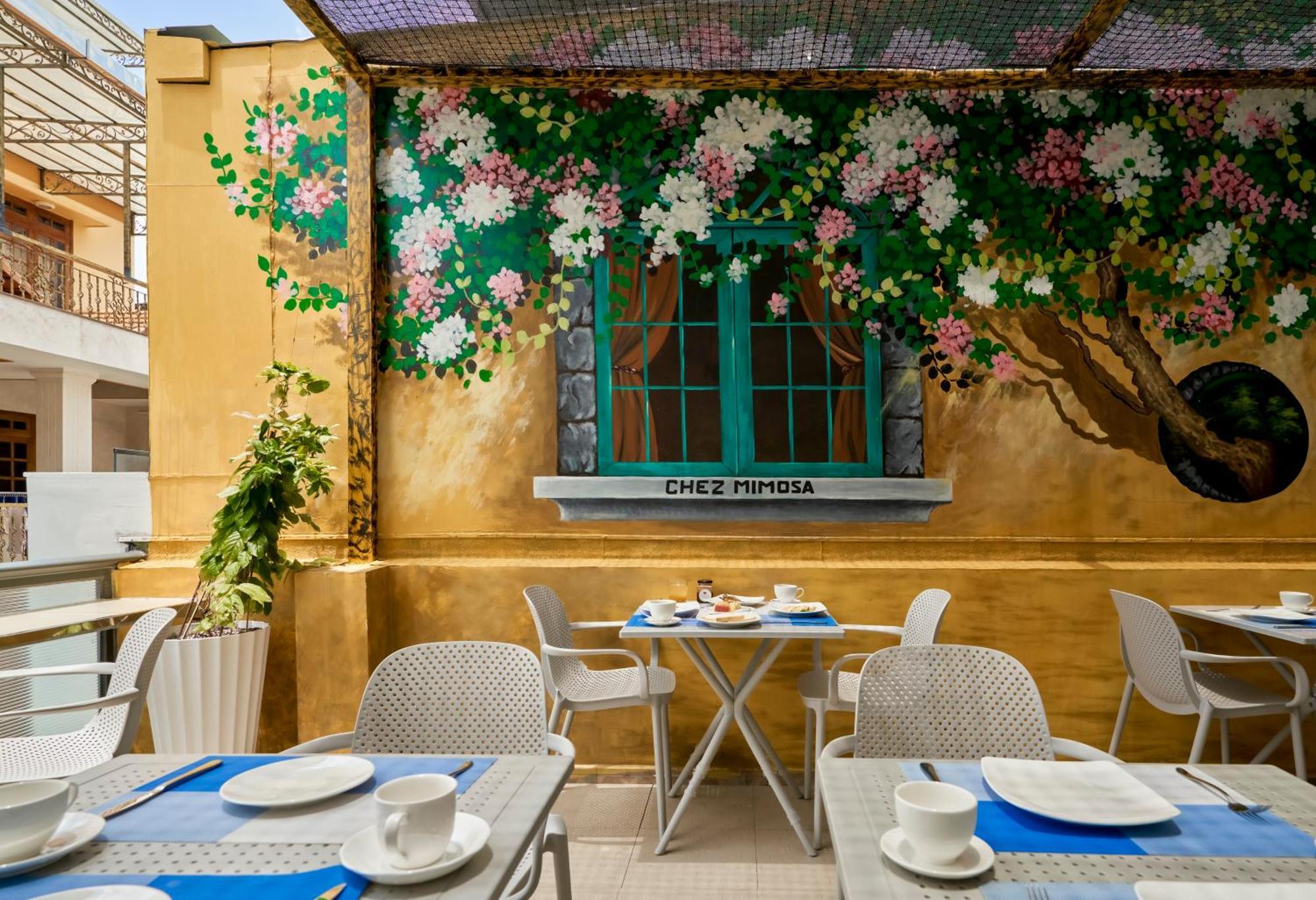 Chez Mimosa Katil