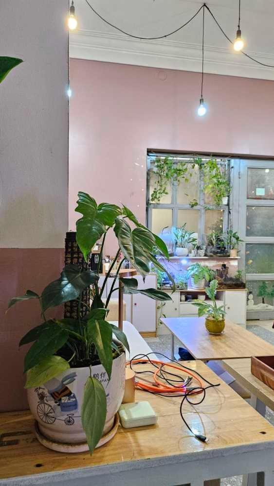 Khoi Homestay *