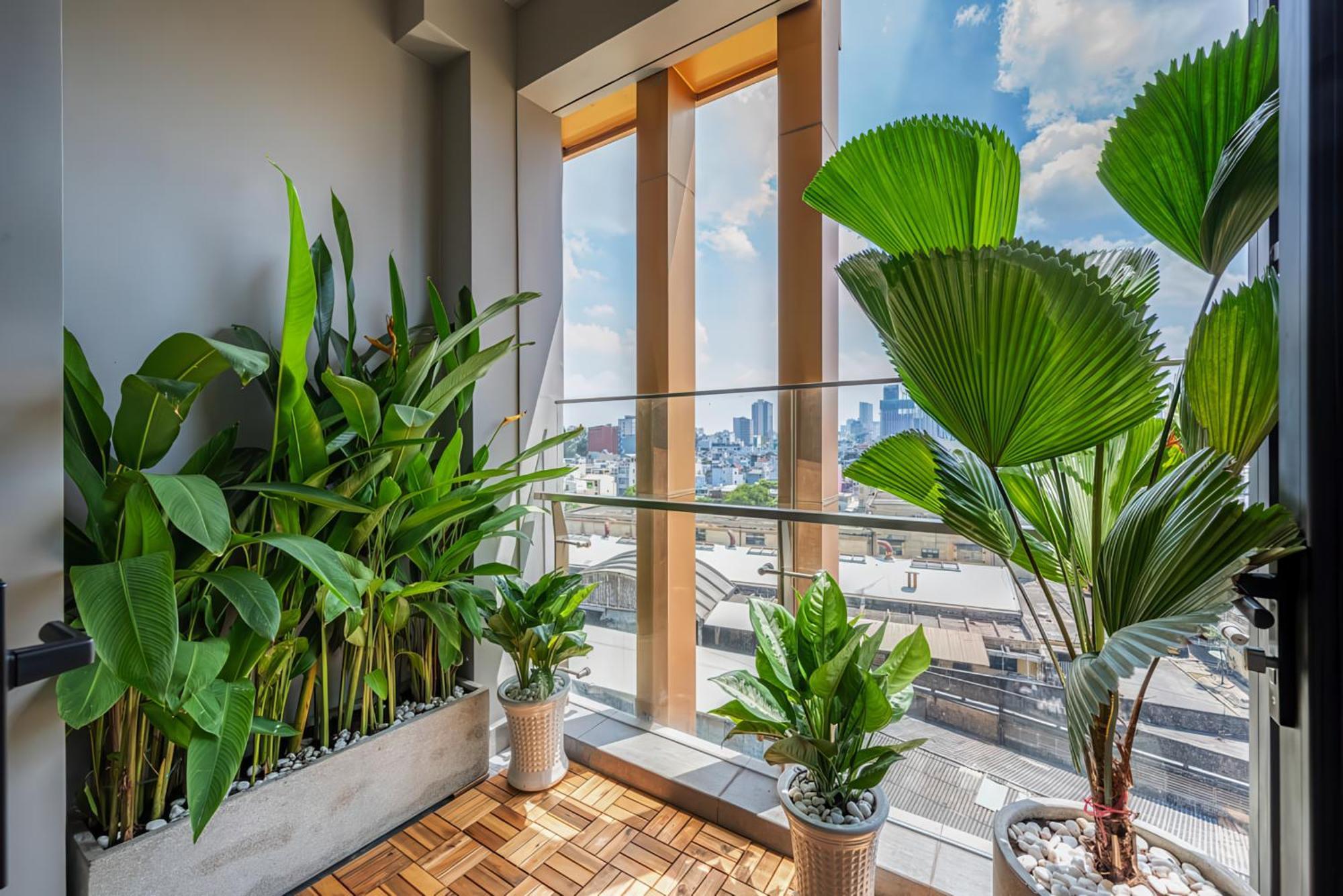 Imperial Elegance Zenity D1 Ho Chi Minh City