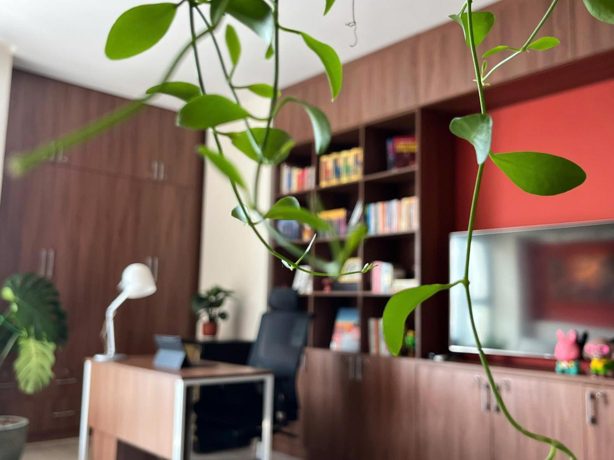 Work & Rest Secc Apartment *