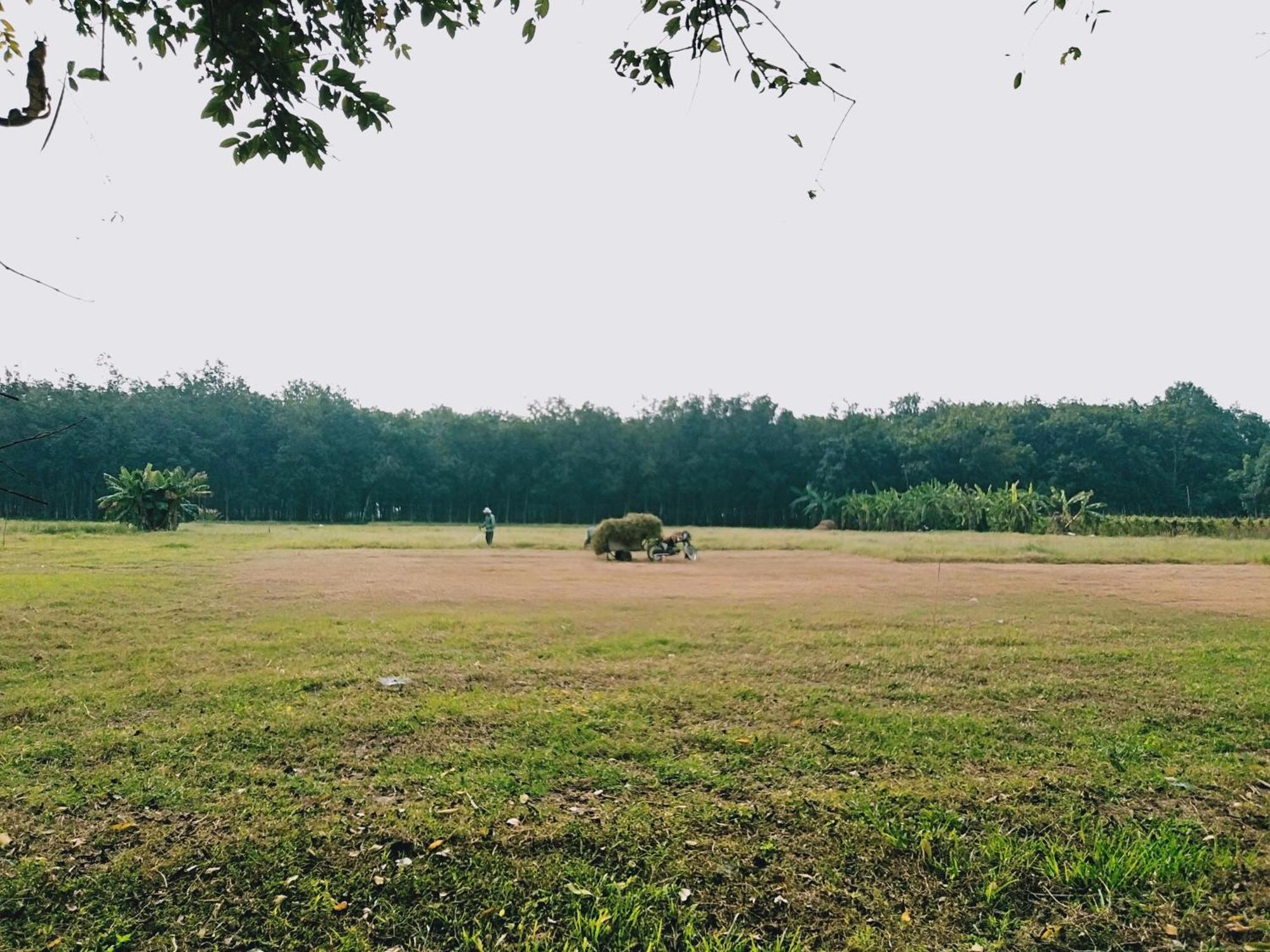 Lotus Retreat *