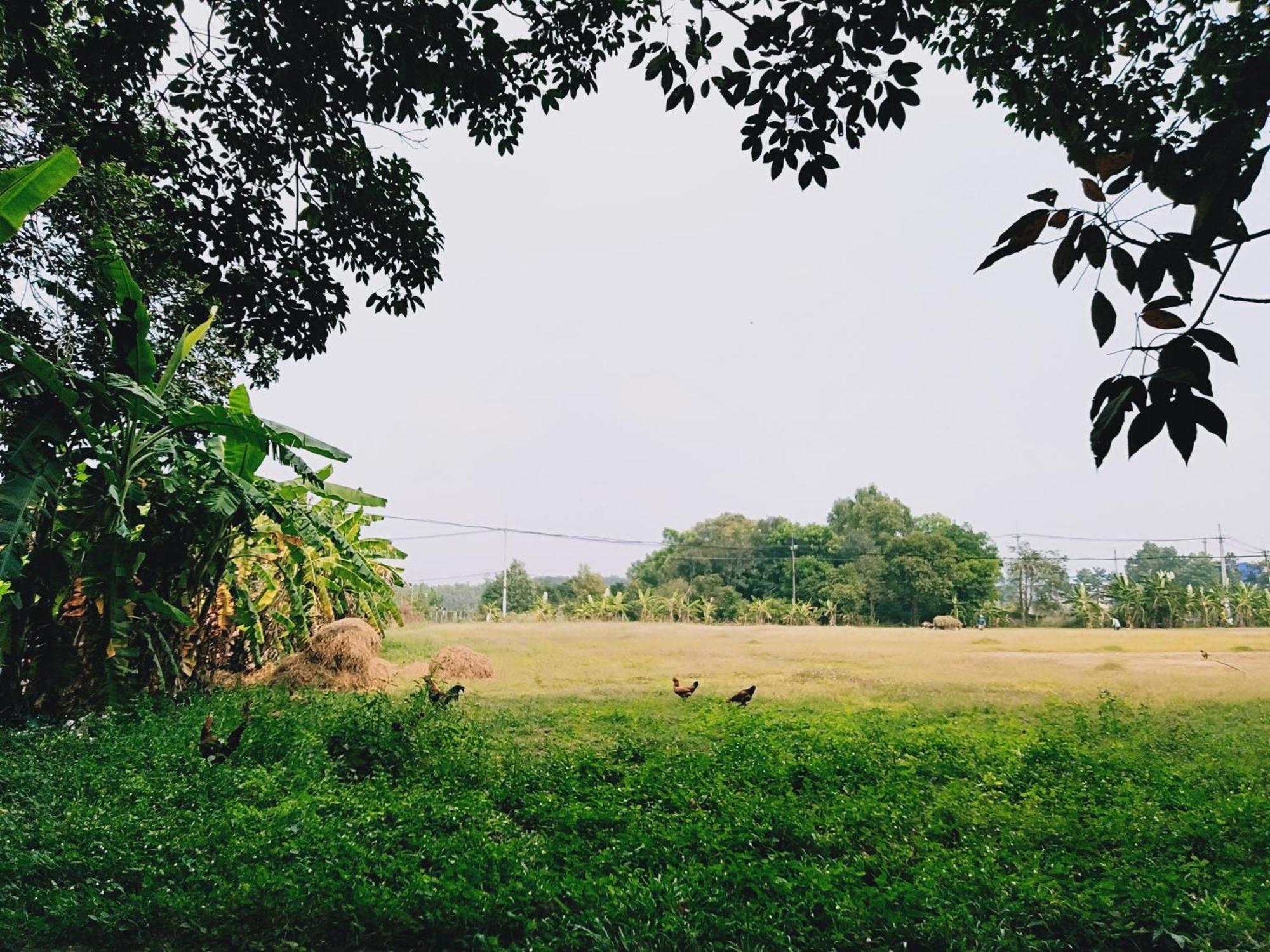 Lotus Retreat Homestay Ho Chi Minh City