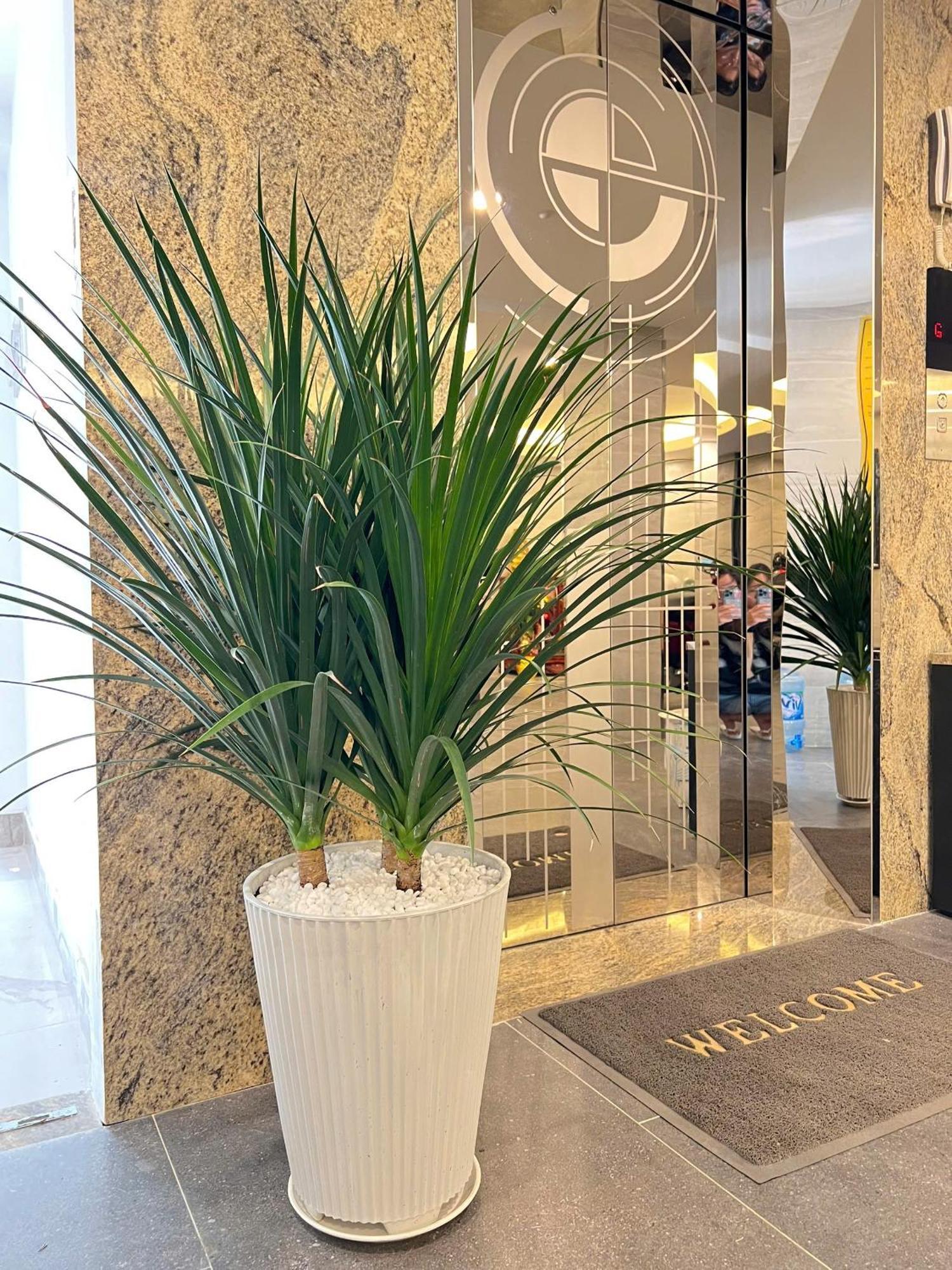 Riversidehome Nearairport/netflix/chill/terrace Pangsapuri Bandar Ho Chi Minh