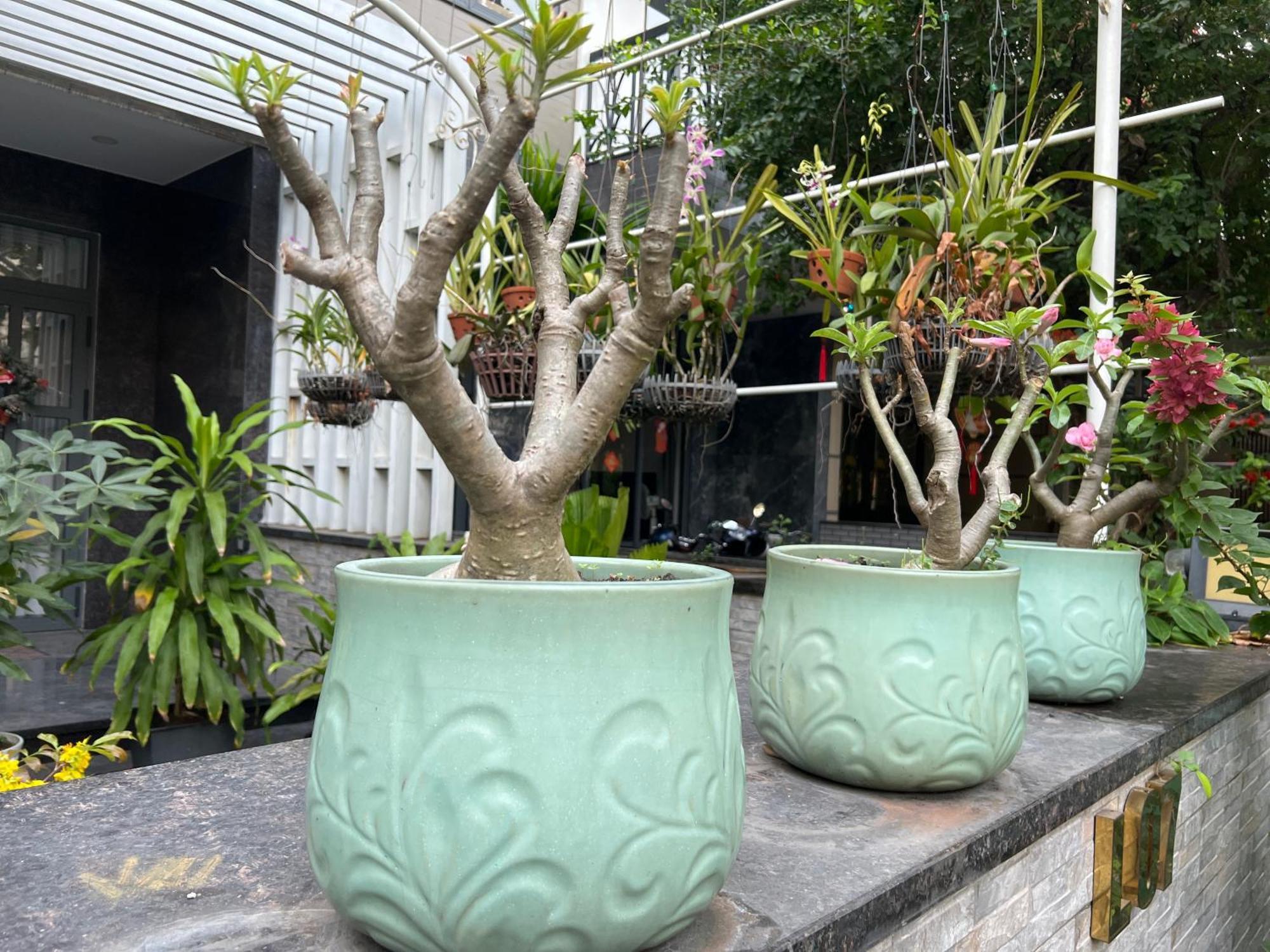 With Full Amenities * Ho Chi Minh City