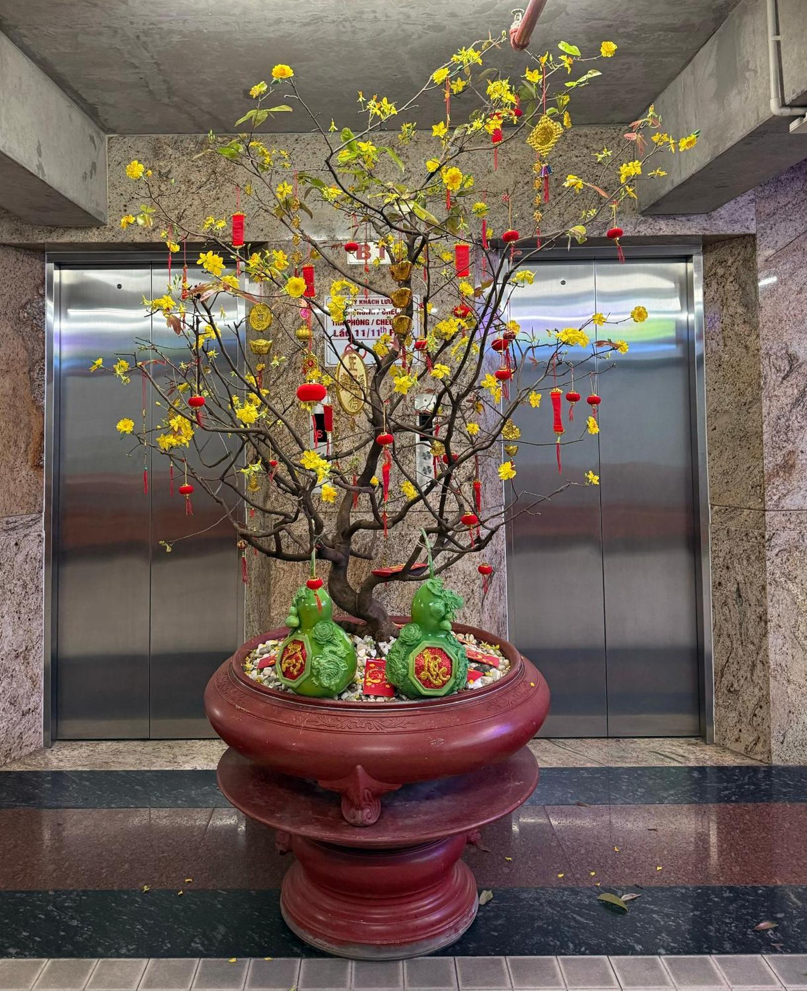 Thien Tai Khách sạn