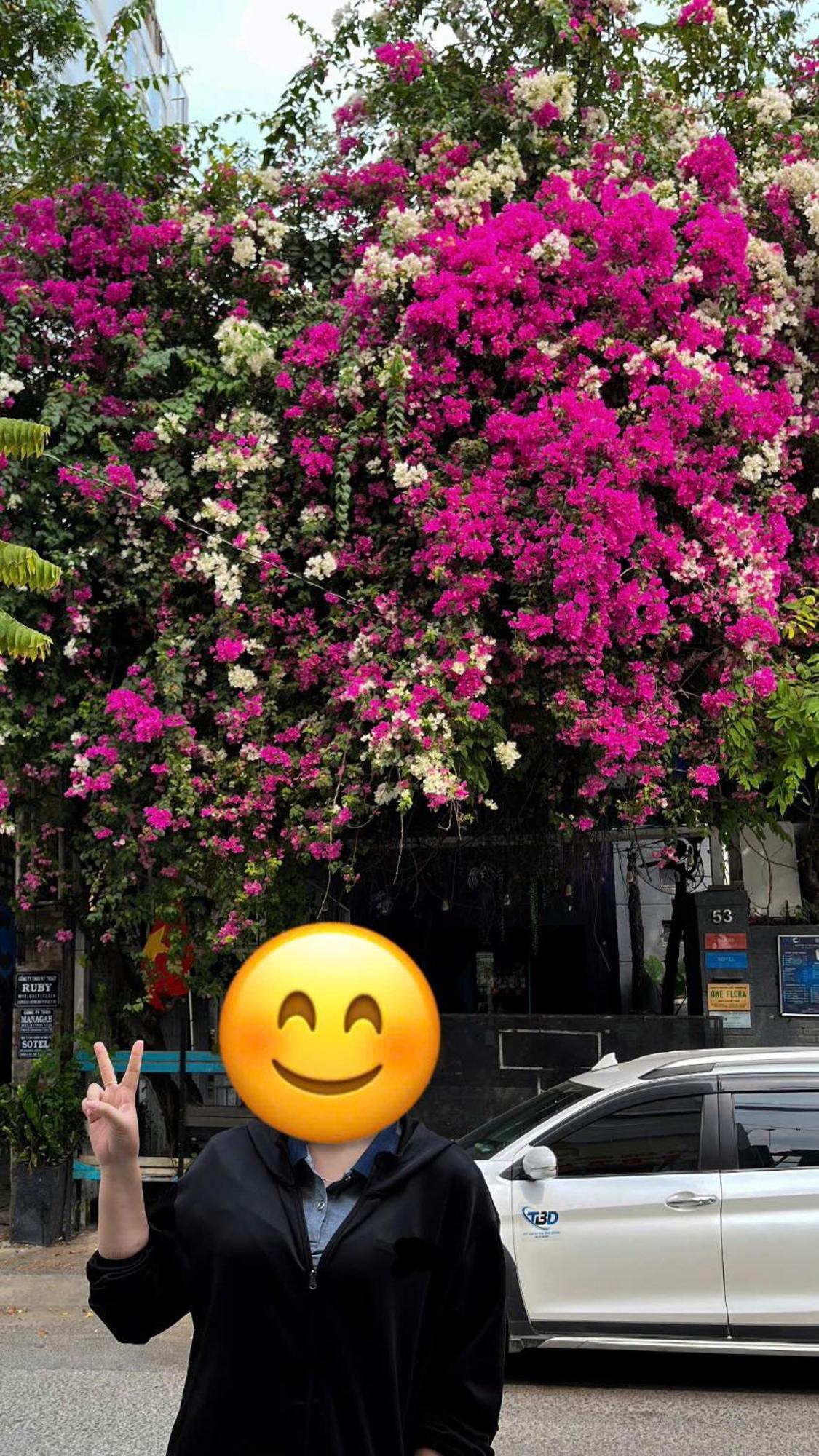 Nguyen Anh Hotel *