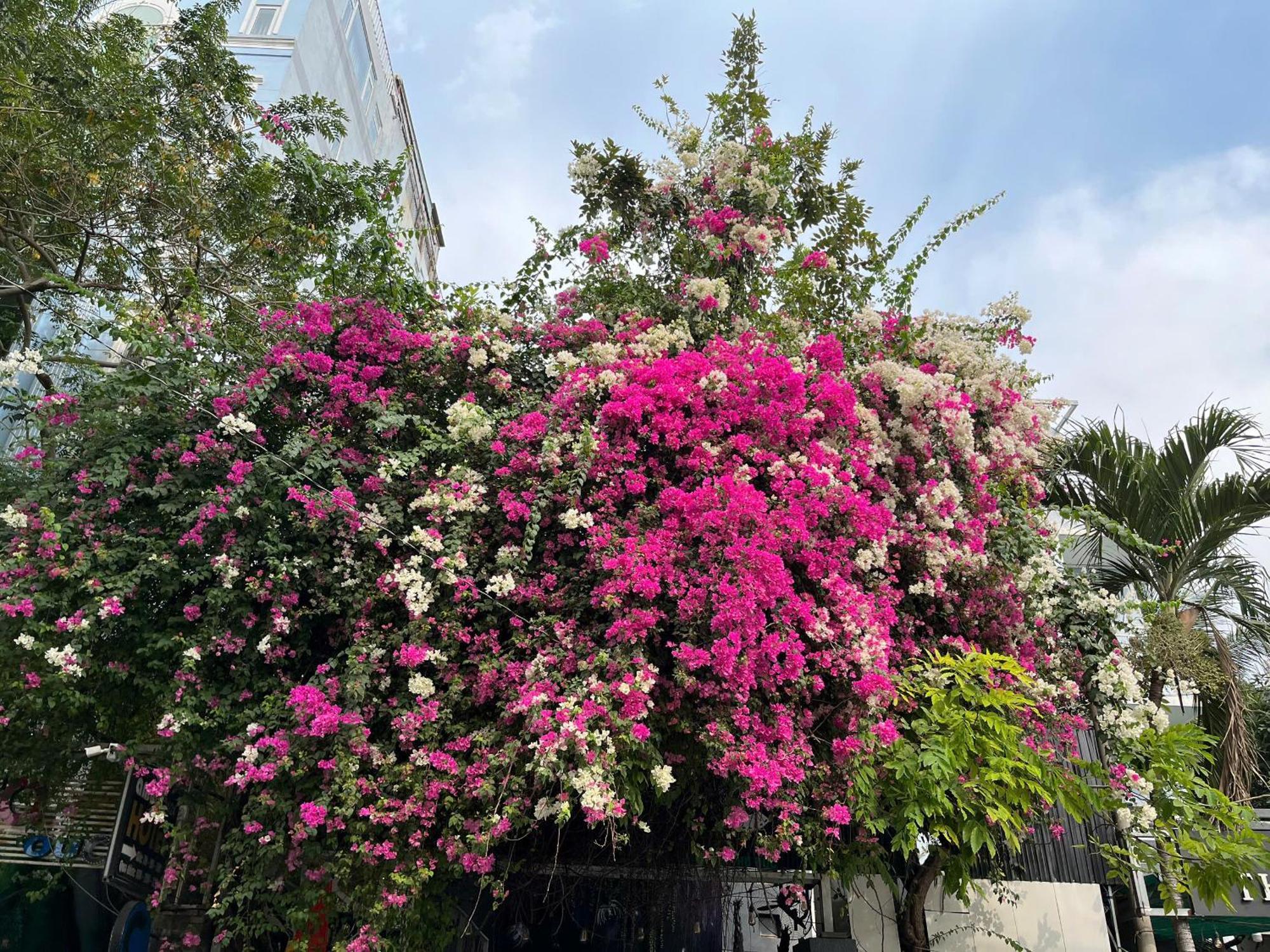 Hotel Nguyen Anh Bandar Ho Chi Minh