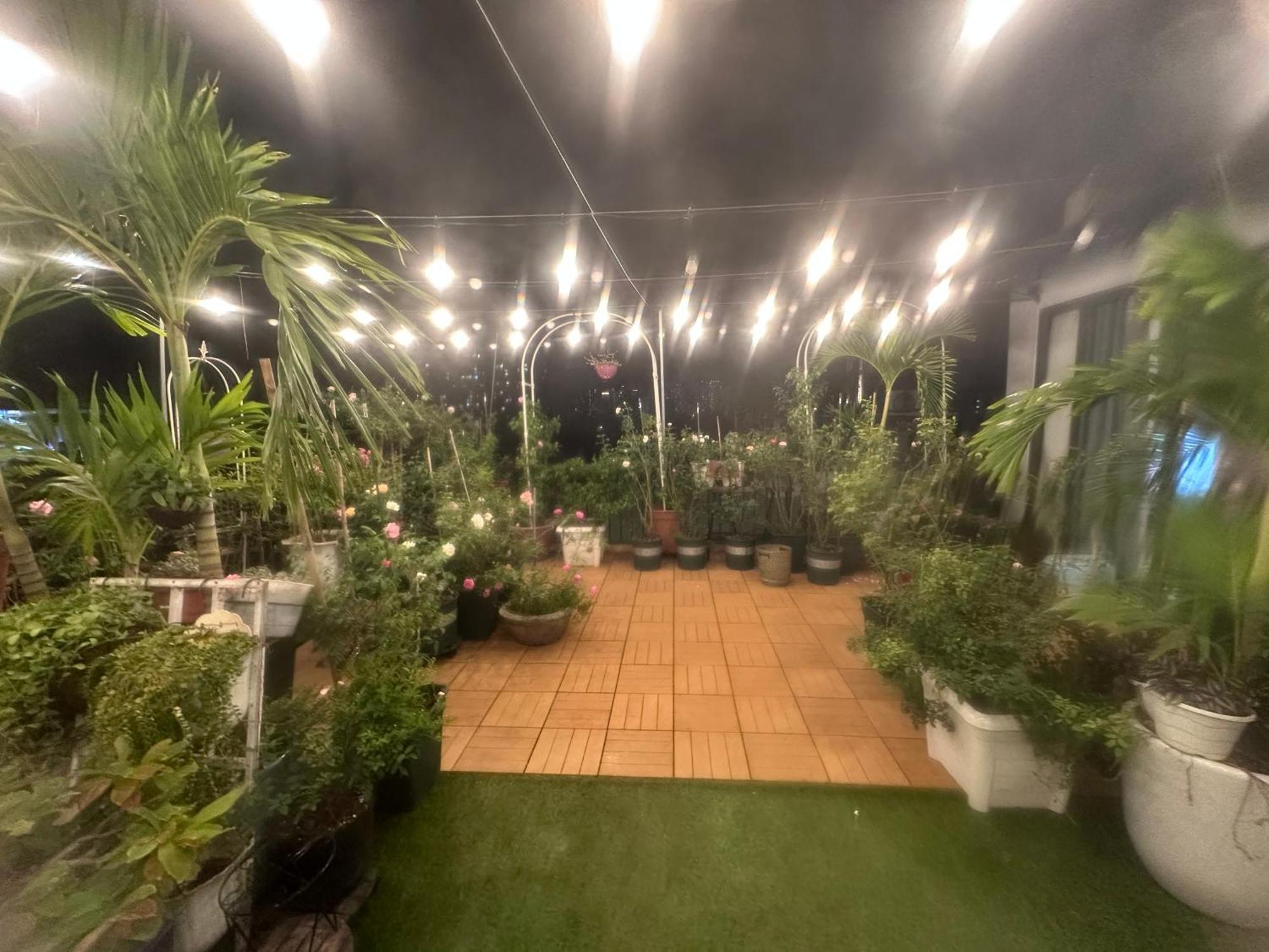 Homey TP. Hồ Chí Minh