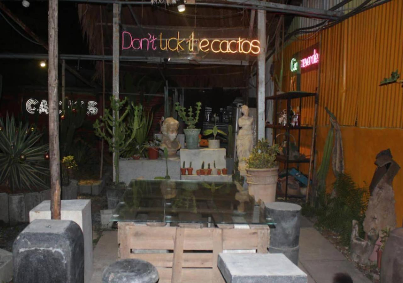 Bed & Breakfast Cactos Chill &