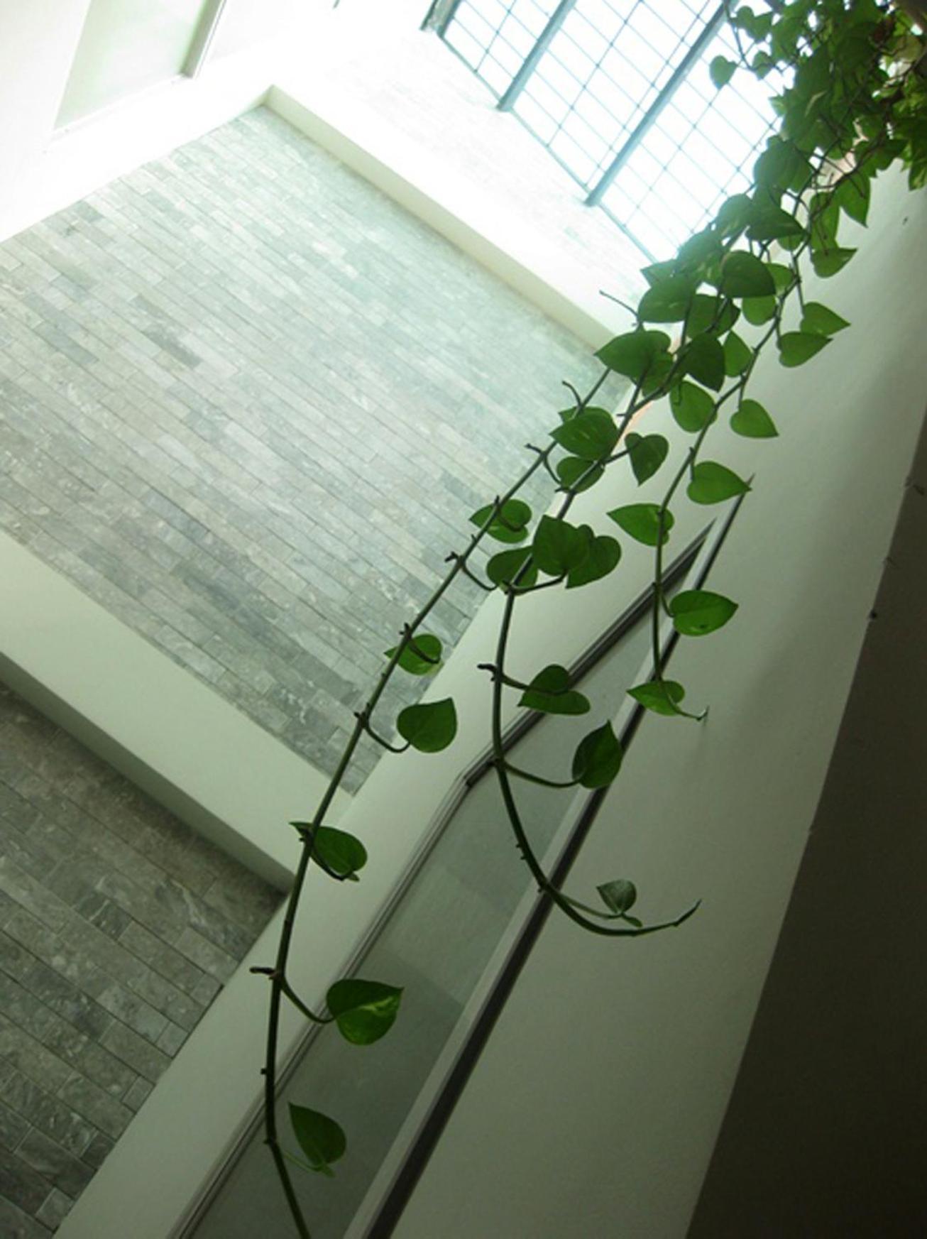 Huong's Homestay *