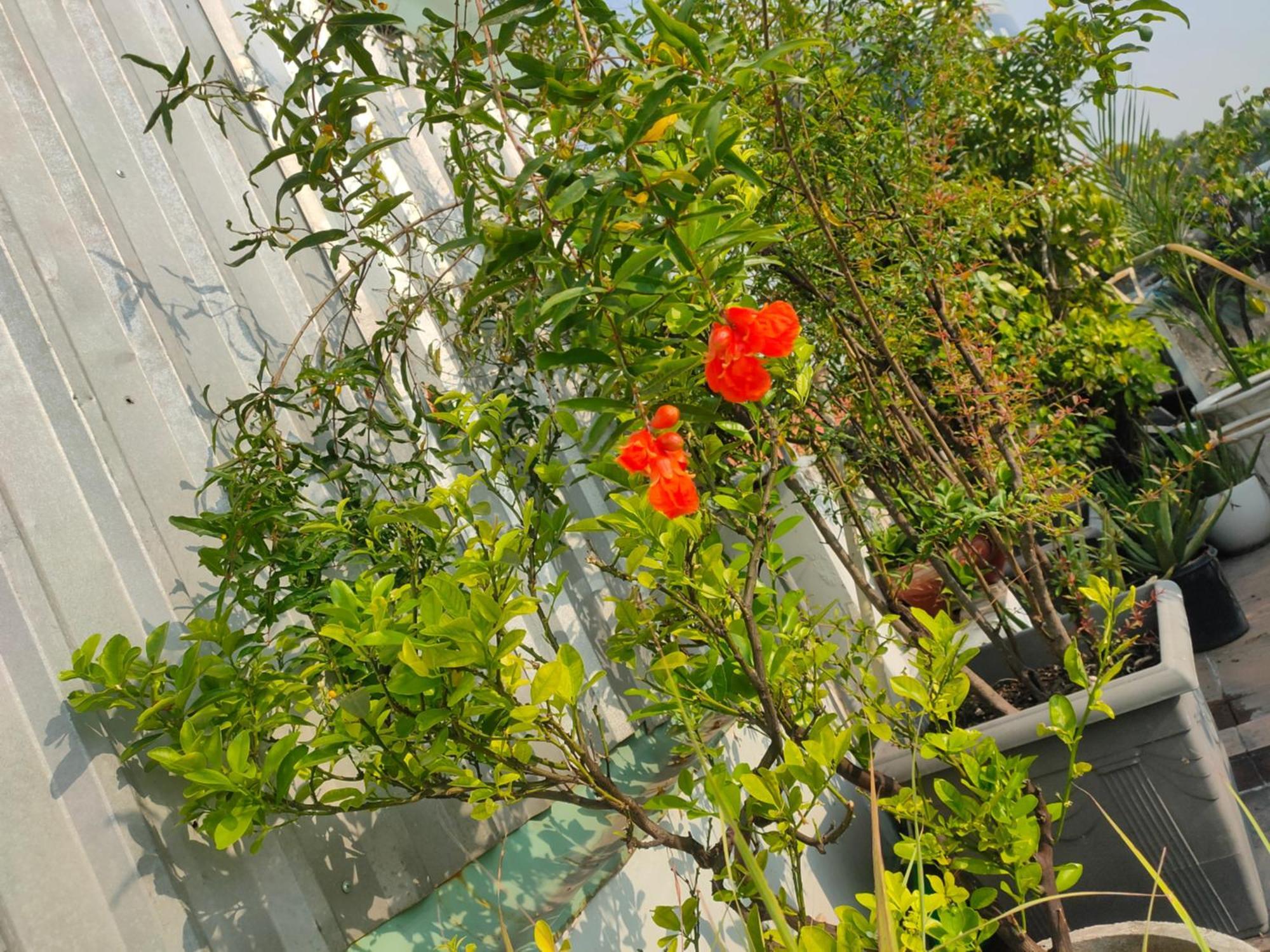 Huong's Homestay *