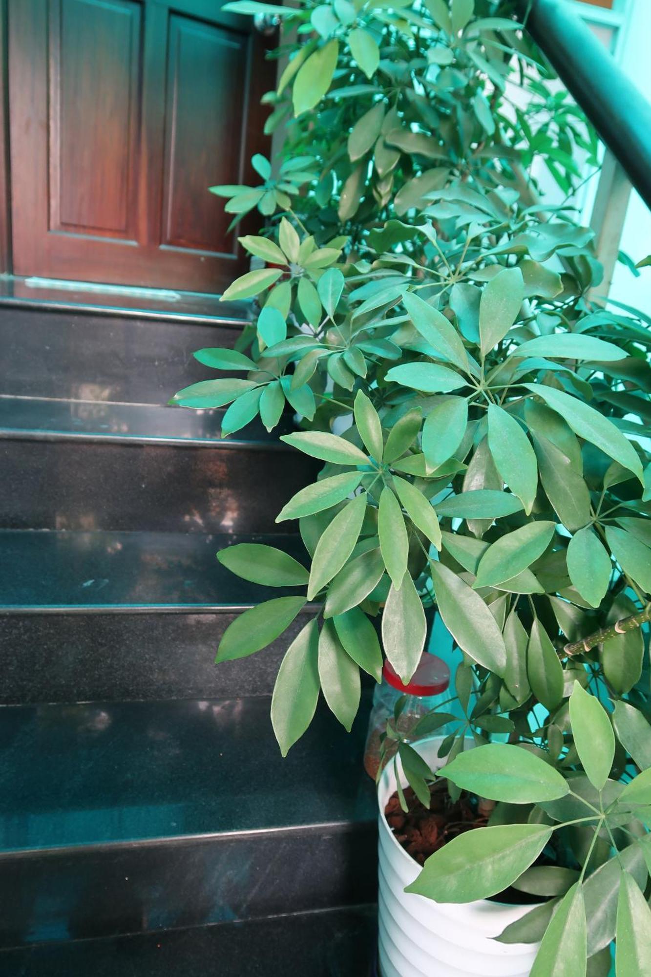 Homestay Huong's