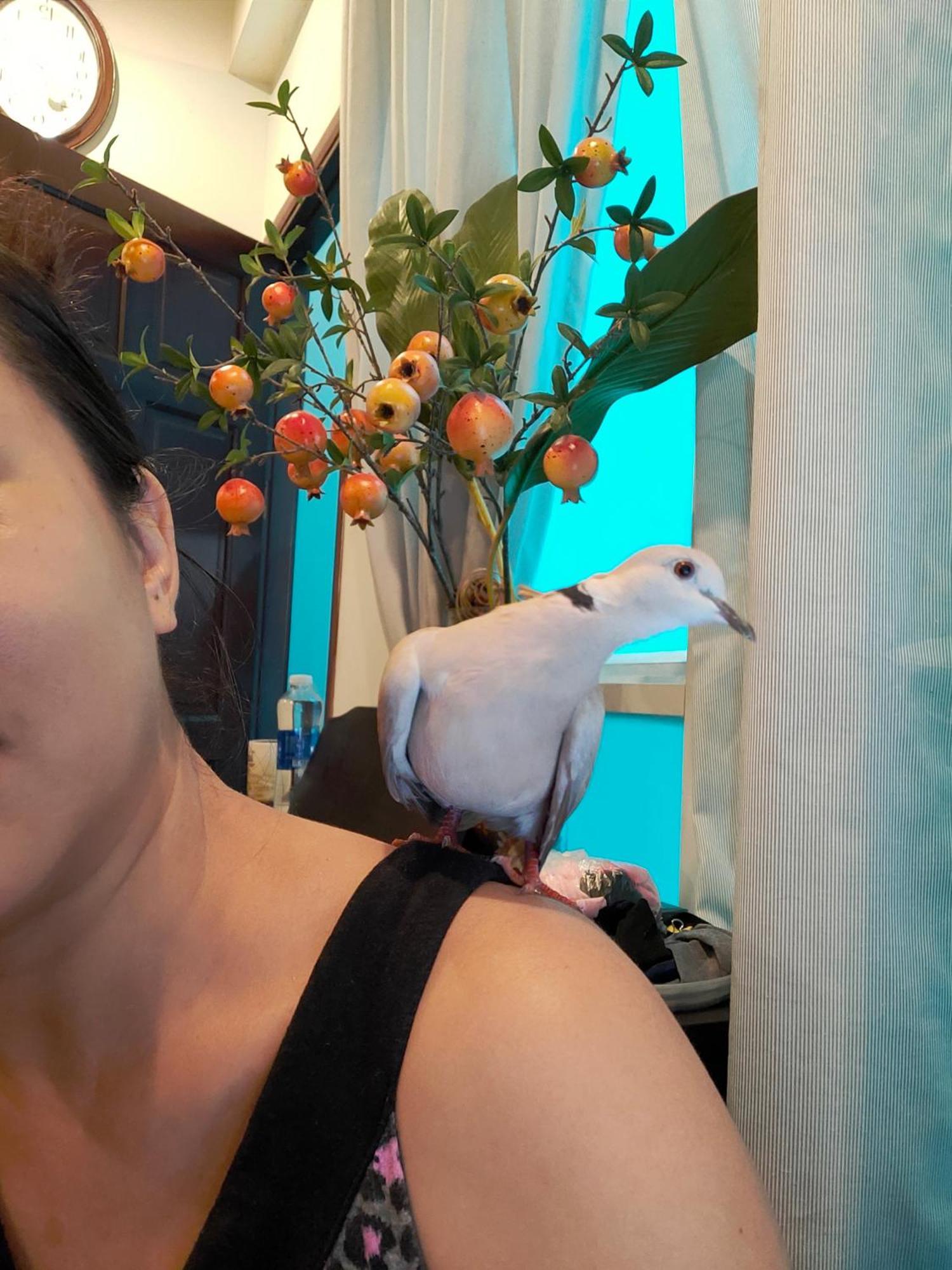Homestay Huong's Ho Chi Minh City