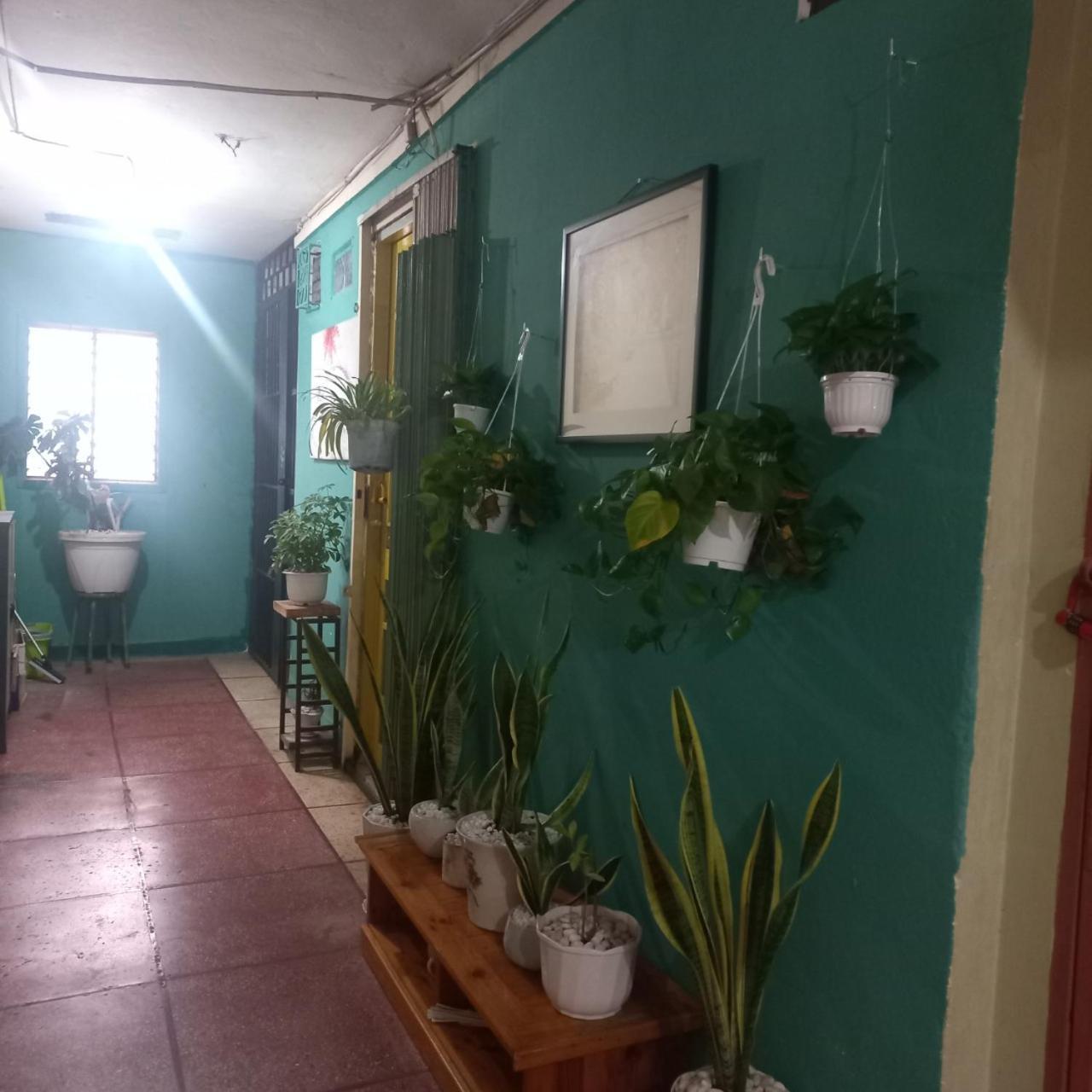 Local Life Stay *