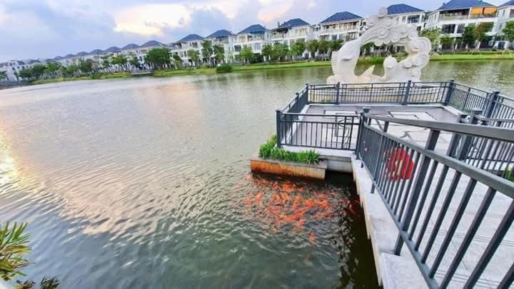 Apartment 201 Lakeview *