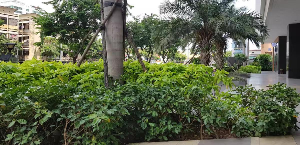 Apartment Rivergate, 1 Bedroom Center Ho Chi Minh City