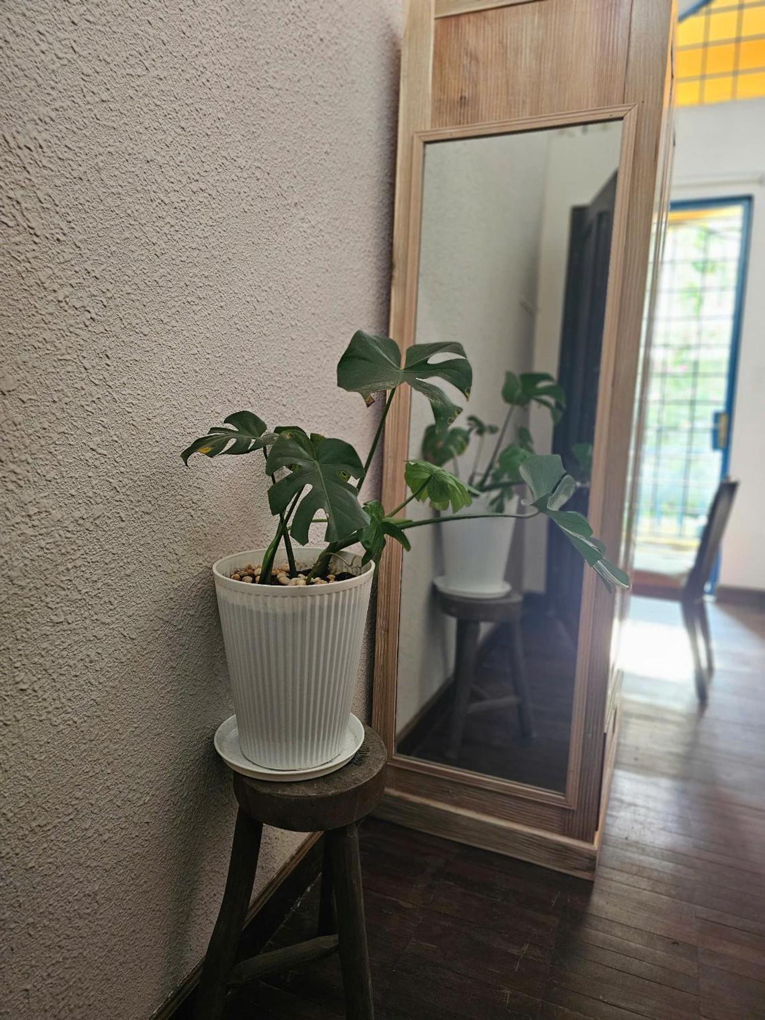 Links Le Sy Homestay
