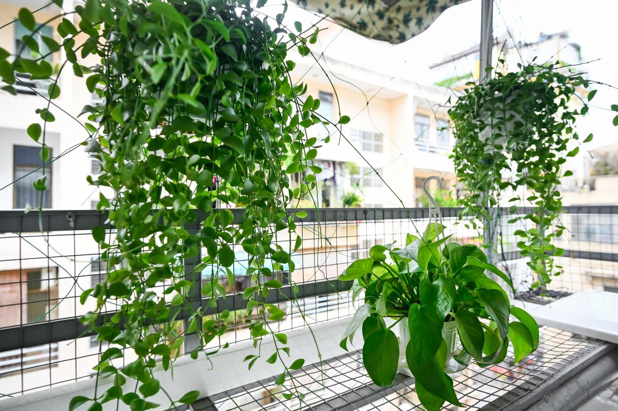 80m2 Apt, Bui Vien St, District 1, Hcmc Saigon * Ho Chi Minh City
